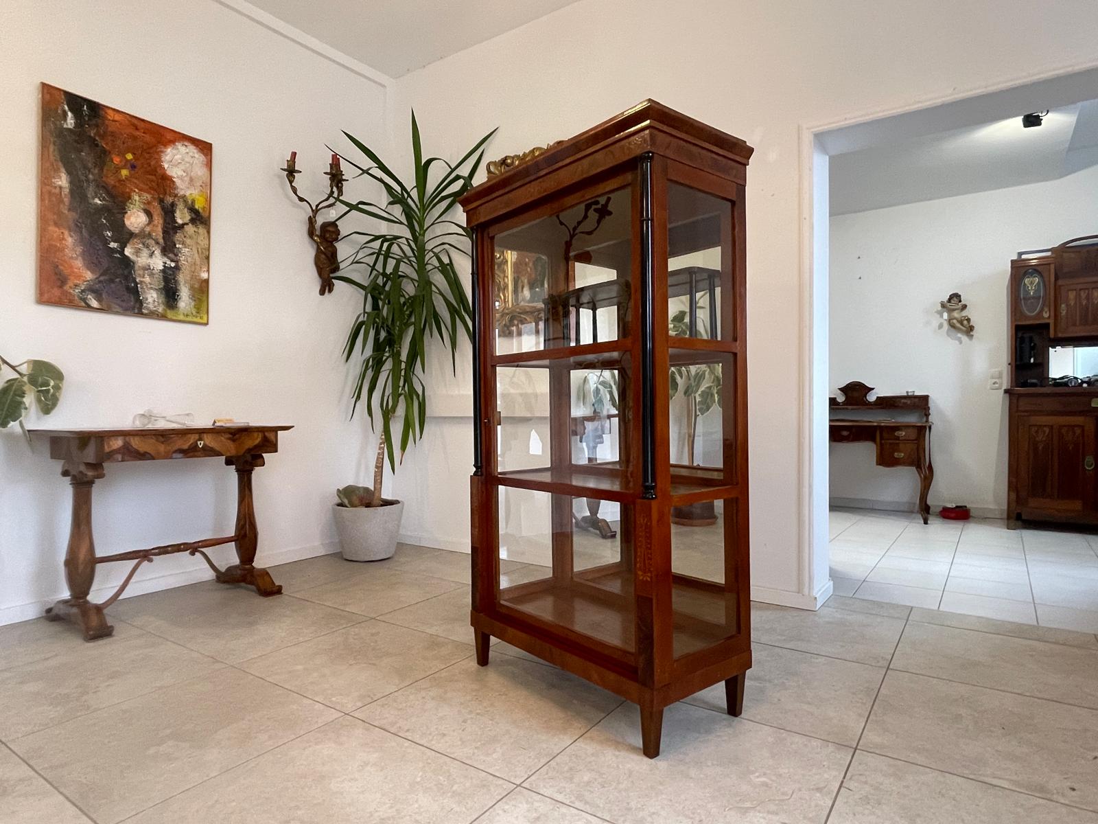 Originale Biedermeier Säulen Vitrine Glasschrank Antiquität Bücherschrank G1673
