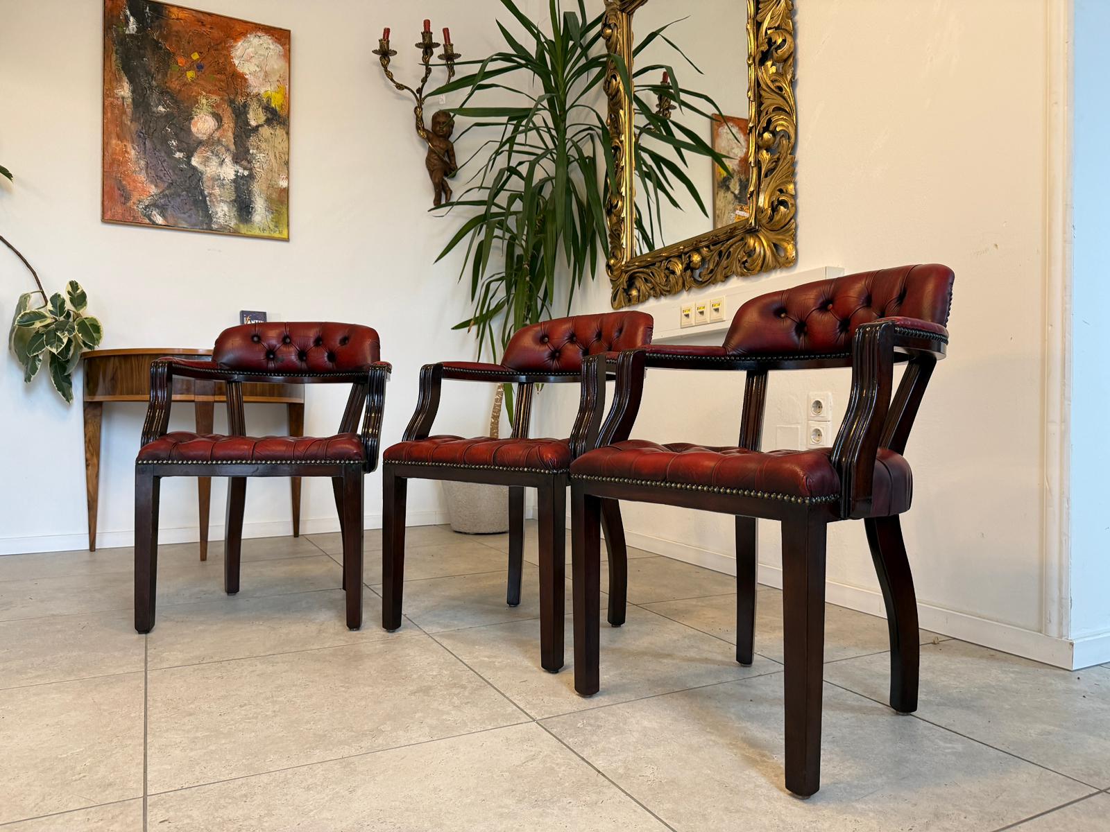 Chesterfield Fauteuill Ledersofa Clubfauteuil Ledersessel  1 Stück D1093