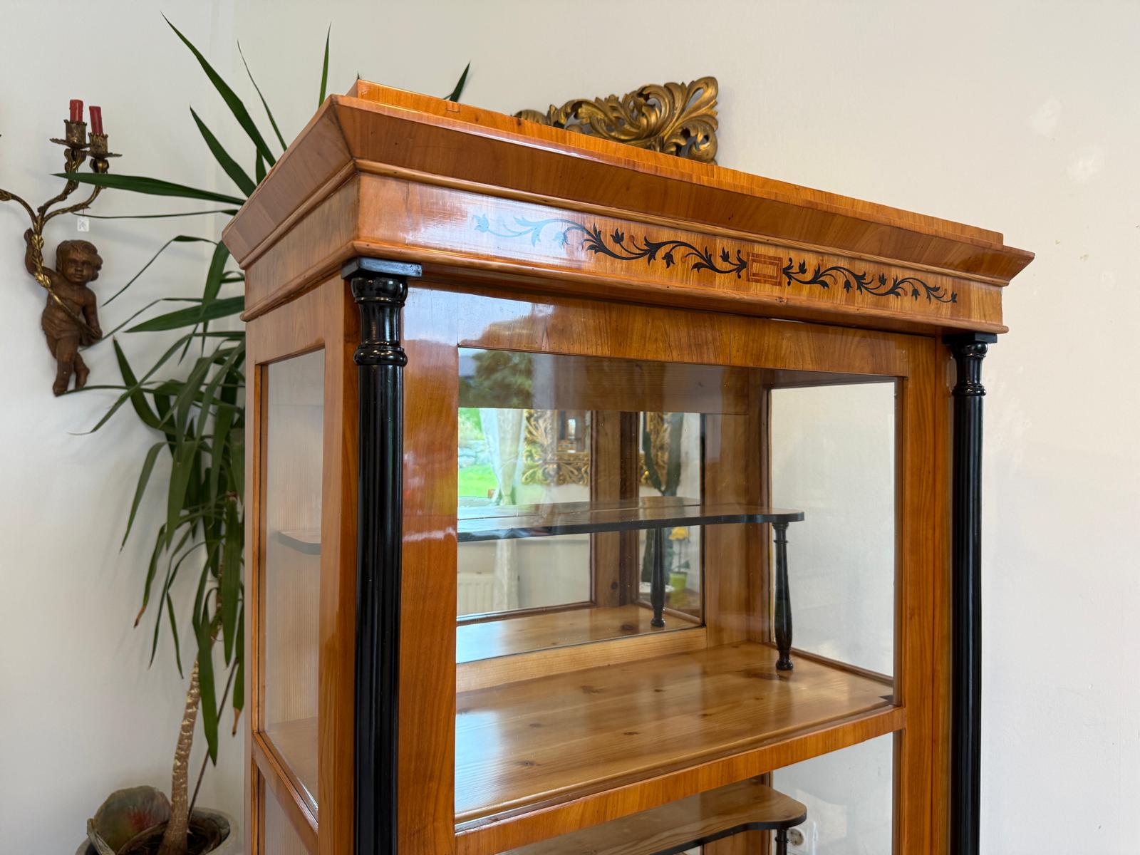 Restaurierte Biedermeier Vitrine Bücherschrank Glasschrank G2050