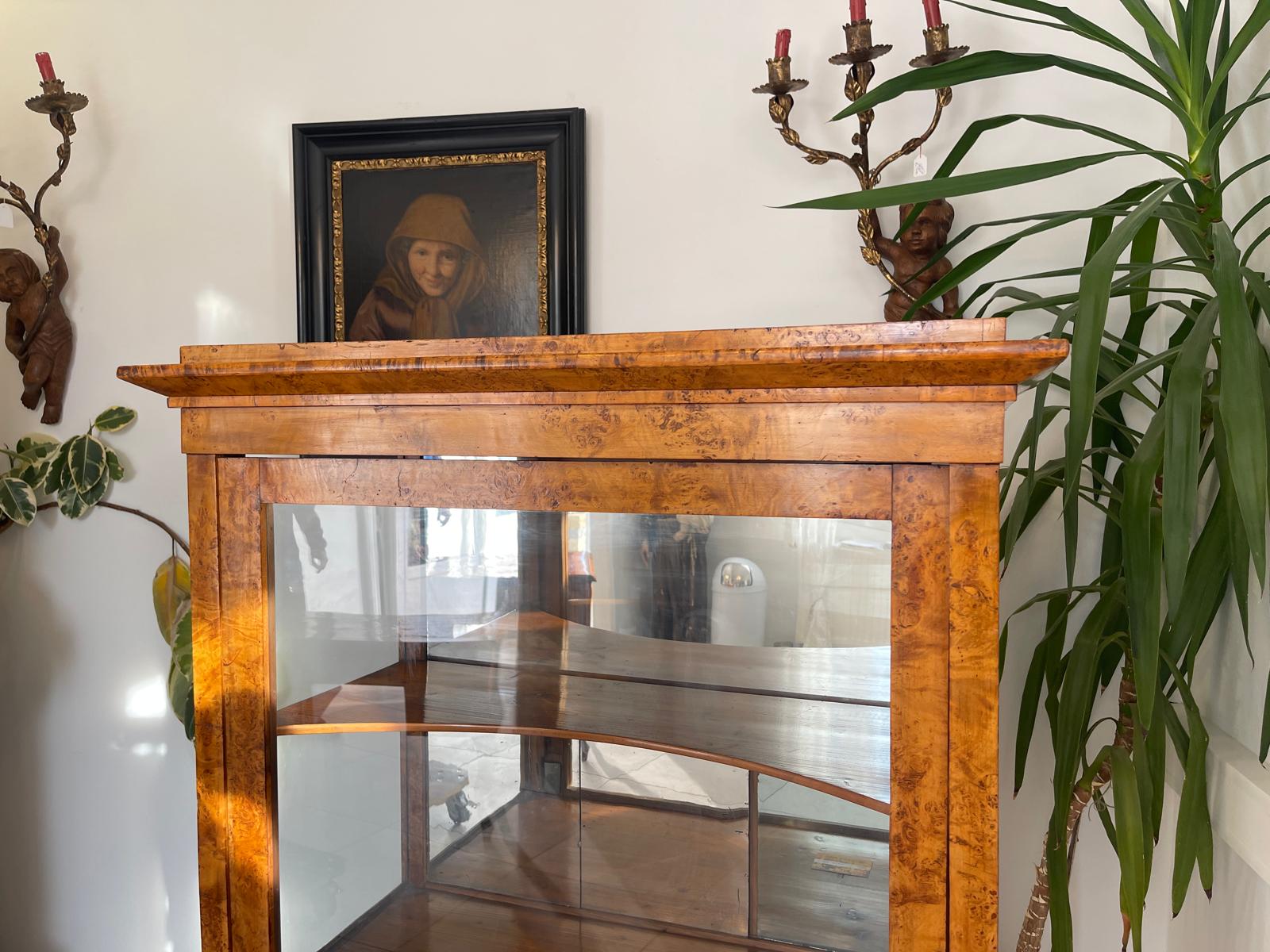 Originale Elegante Biedermeier Vitrine Bücherschrank Glasschrank Antiquität G1311