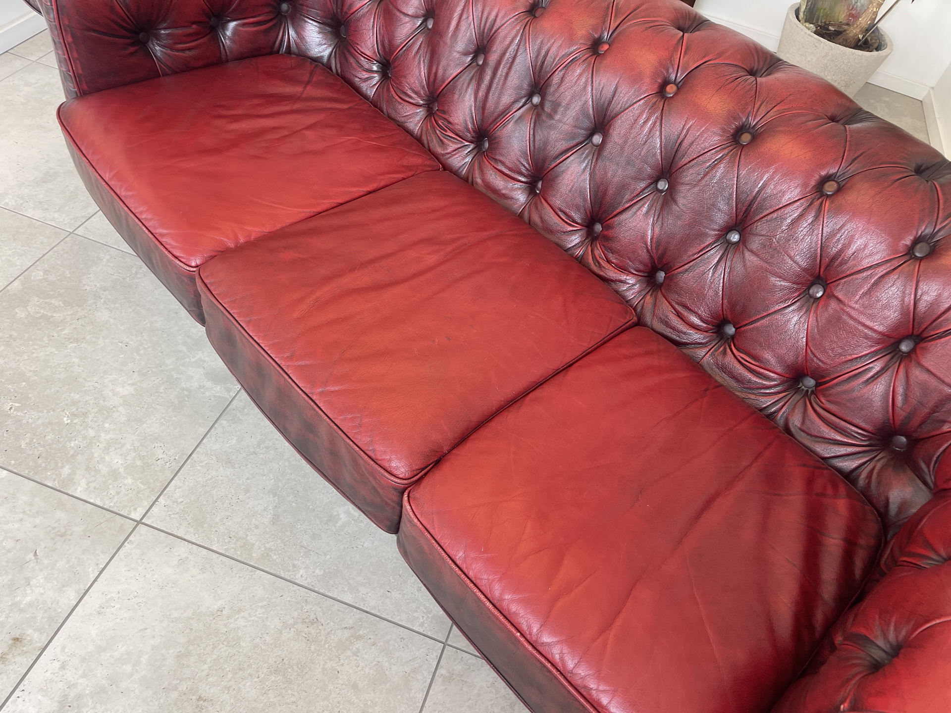 Chesterfield-76 Cult Chesterfield 3er Sofa Couch Clubsofa A4553