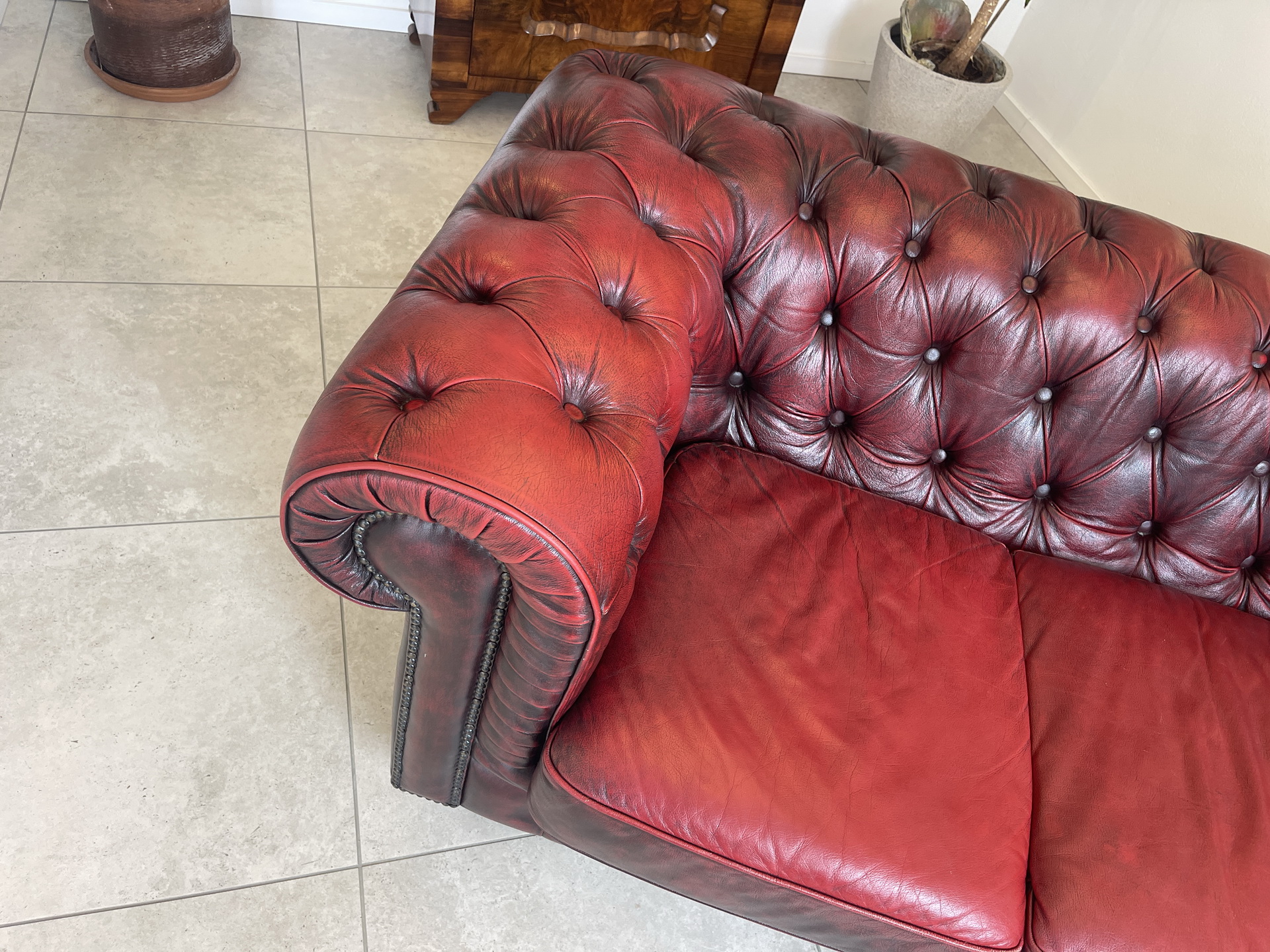 Chesterfield-74 Cult Chesterfield 3er Sofa Couch Clubsofa A4553