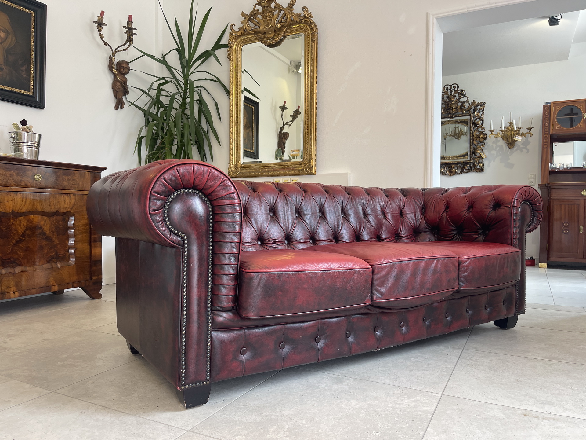 Chesterfield-71 Cult Chesterfield 3er Sofa Couch Clubsofa A4553