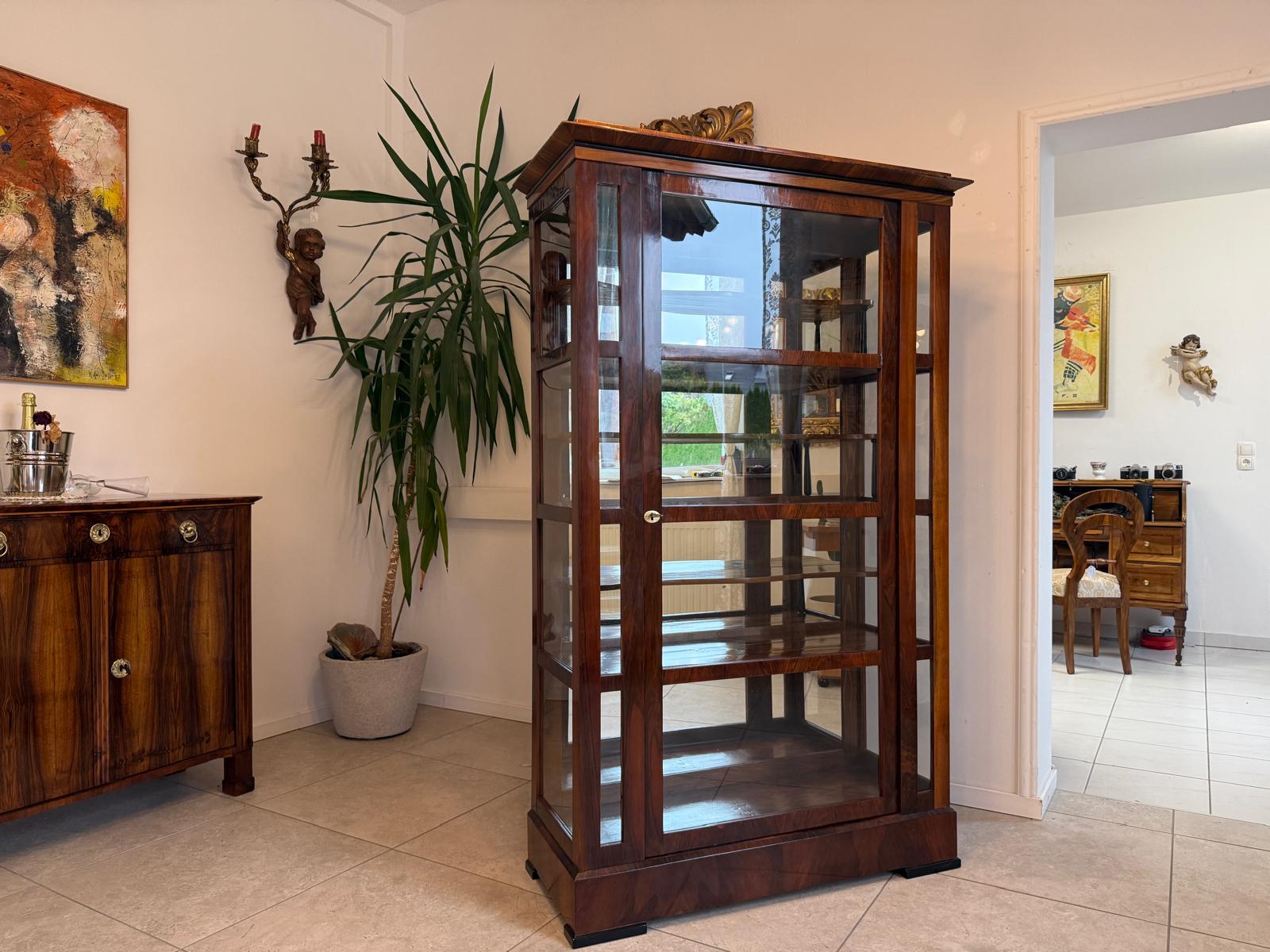 SALE Restaurierte Biedermeier Vitrine Bücherschrank ANTIQUITÄT G2084