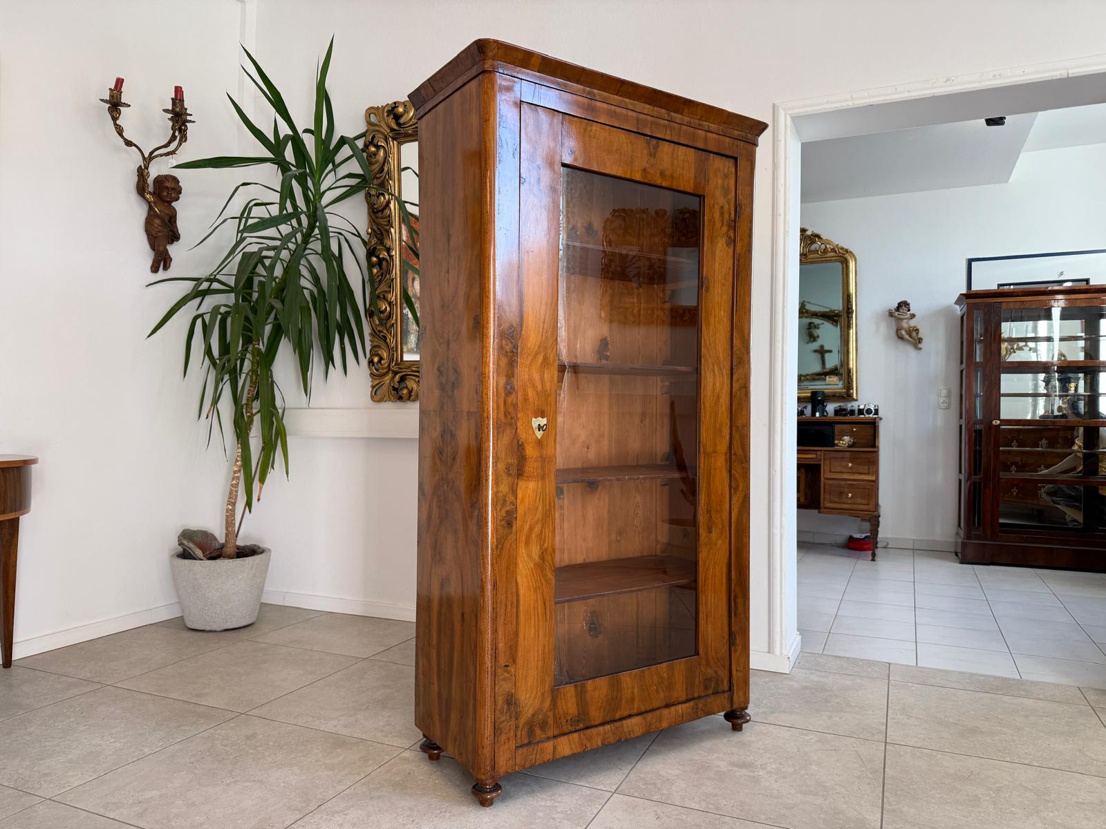 Antiquität Sale Biedermeier Vitrine Bücherschrank Nussholz G2212