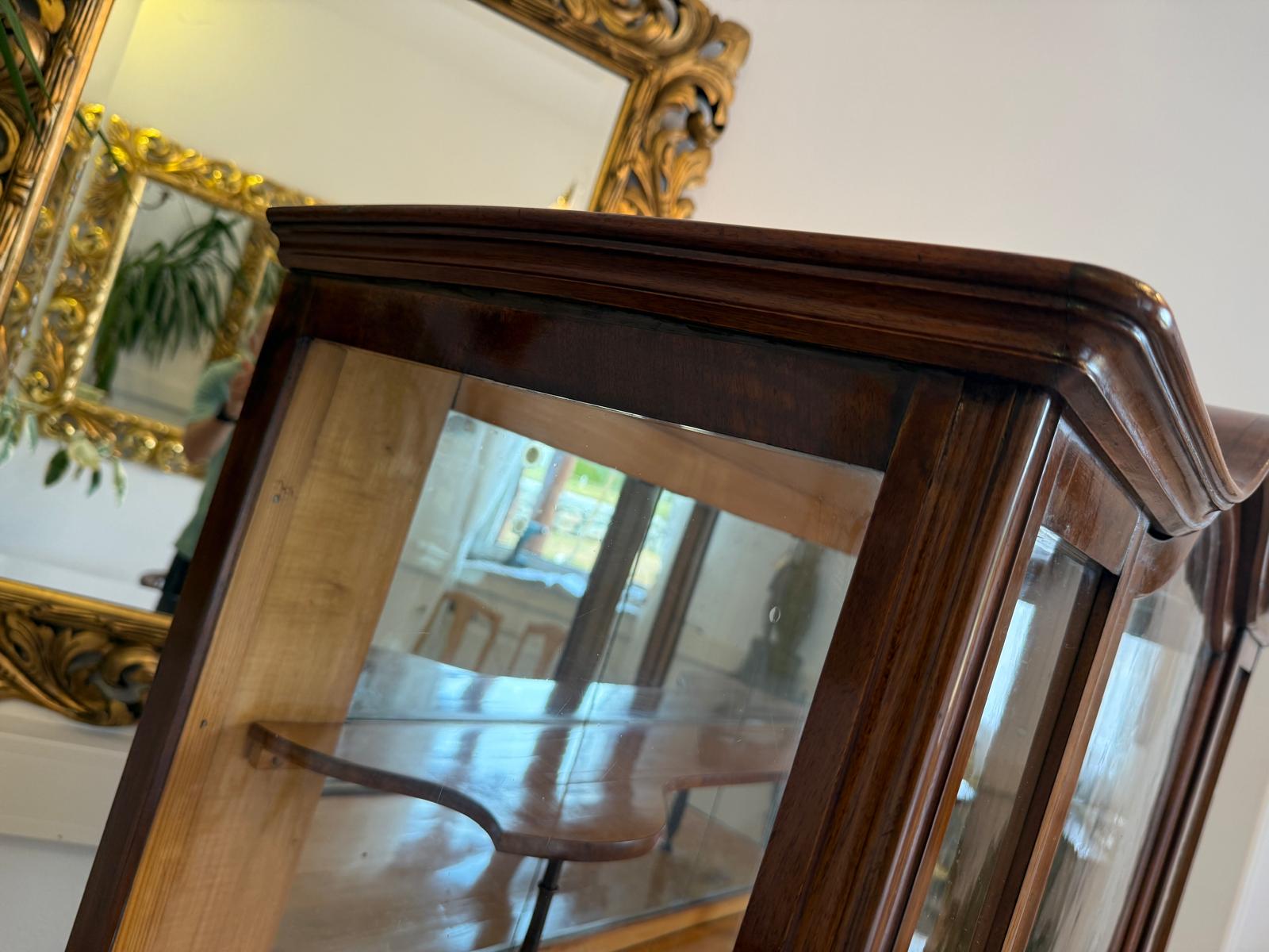 Altrestaurierte Spätbiedermeier Vitrine Bücherschrank Glasschrank Antiquität D2725