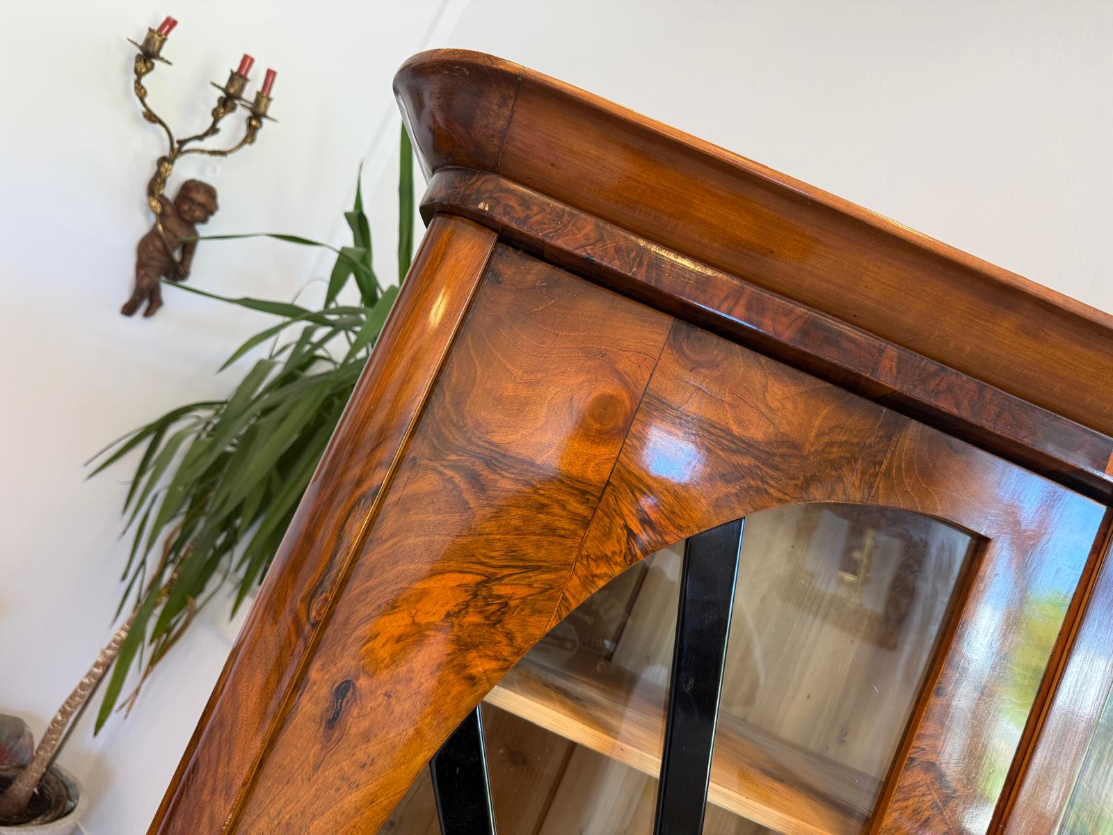 Biedermeier Vitrine Sonnenvitrine Bücherschrank Bibliotheksschrank Nussholz D2608