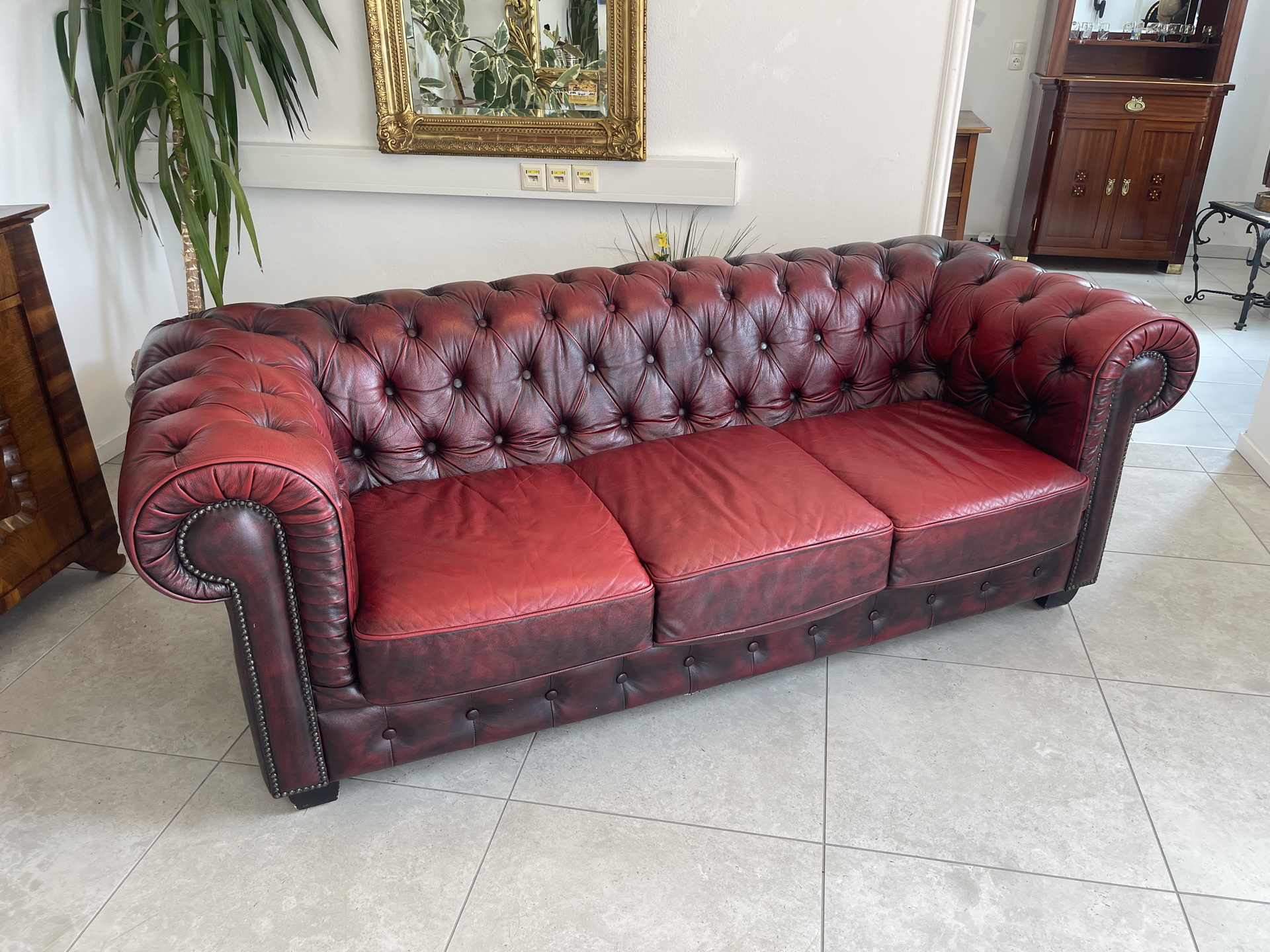 Chesterfield-70 Cult Chesterfield 3er Sofa Couch Clubsofa A4553