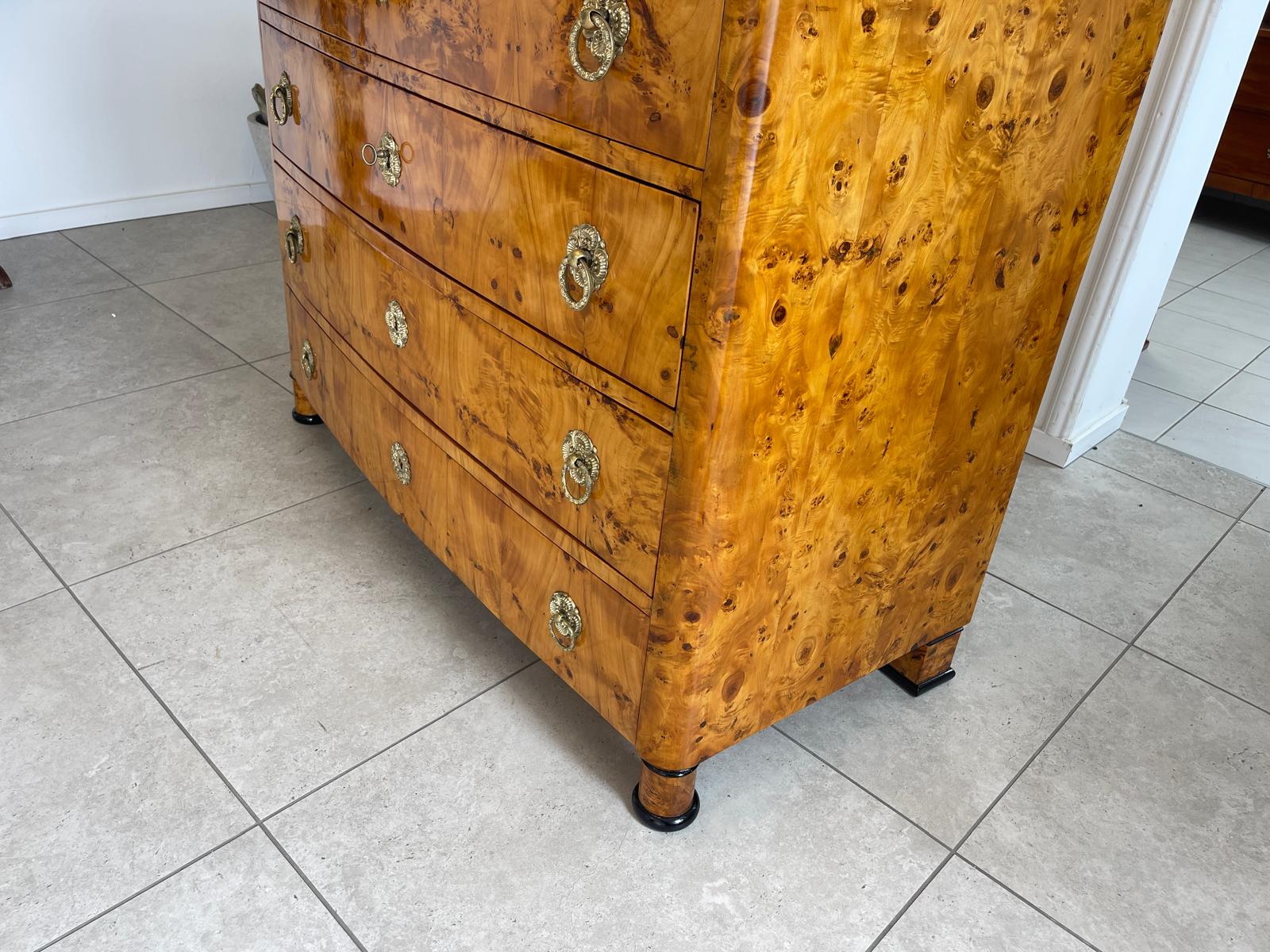 Restaurierte Biedermeier Schreibkommode Sekretär Pappelholz Antiquität G1747