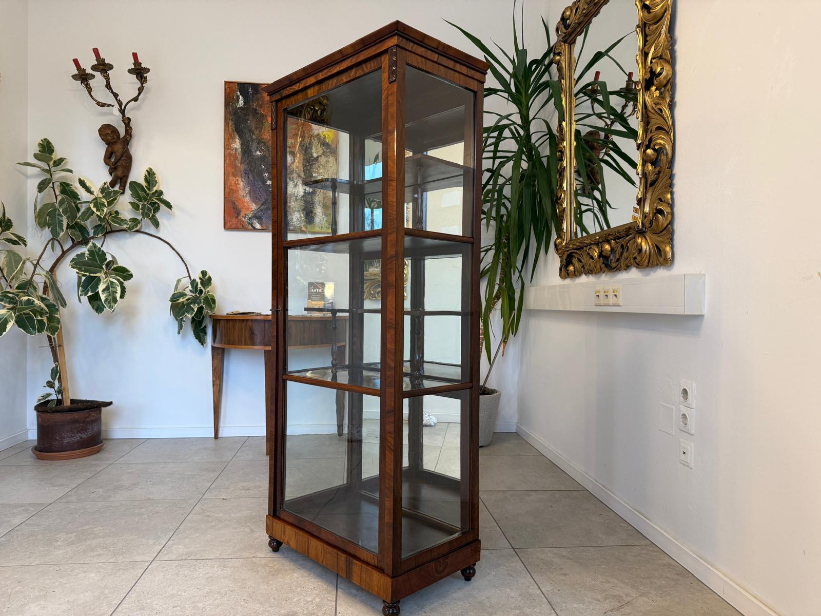 Antiquität Biedermeier Vitrine Bücherschrank Antiquität D1089