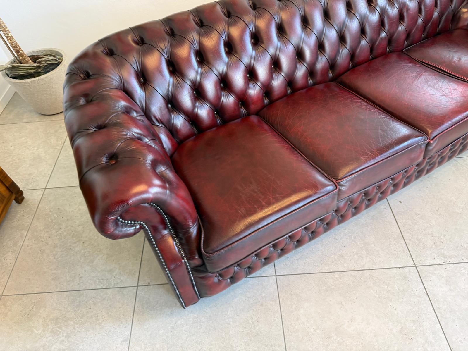 Chesterfield 4er Clubsofa Diwan Echtledersofa Oxblood D2923