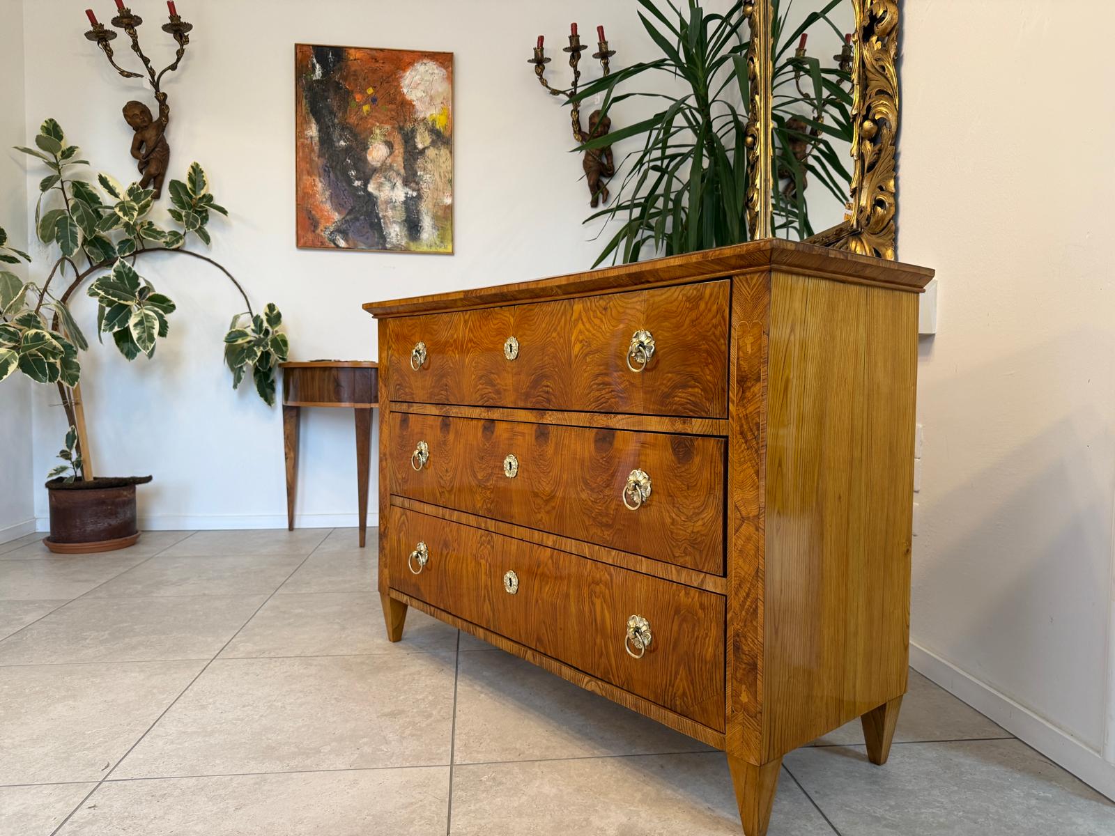 Restaurierte Biedermeier Kommode Ladenkommode Nussholz Antiquität G2242