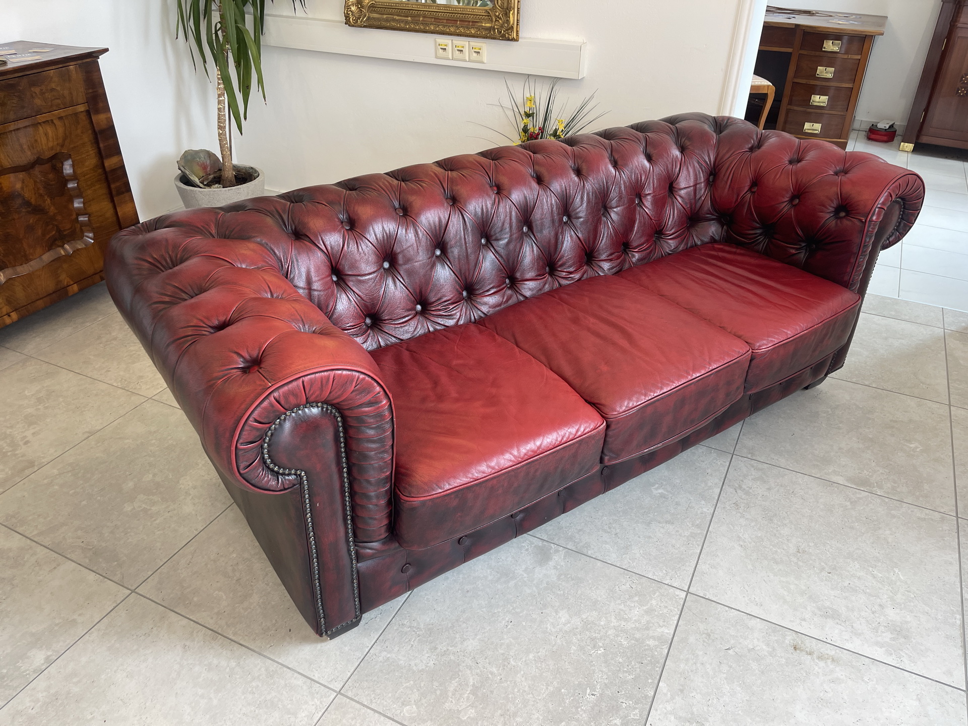Chesterfield-72 Cult Chesterfield 3er Sofa Couch Clubsofa A4553