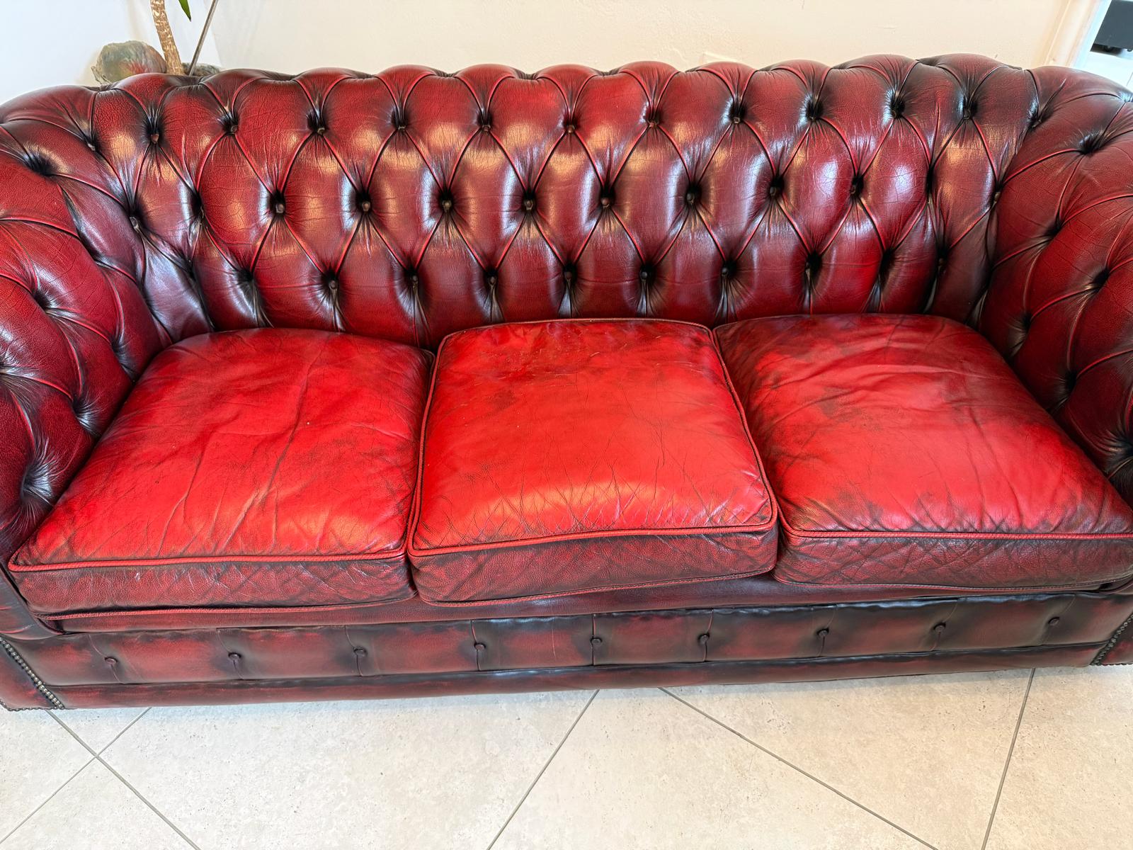 Chesterfield 3er Clubsofa Diwan Couch Oxblood Kultmöbel D2304
