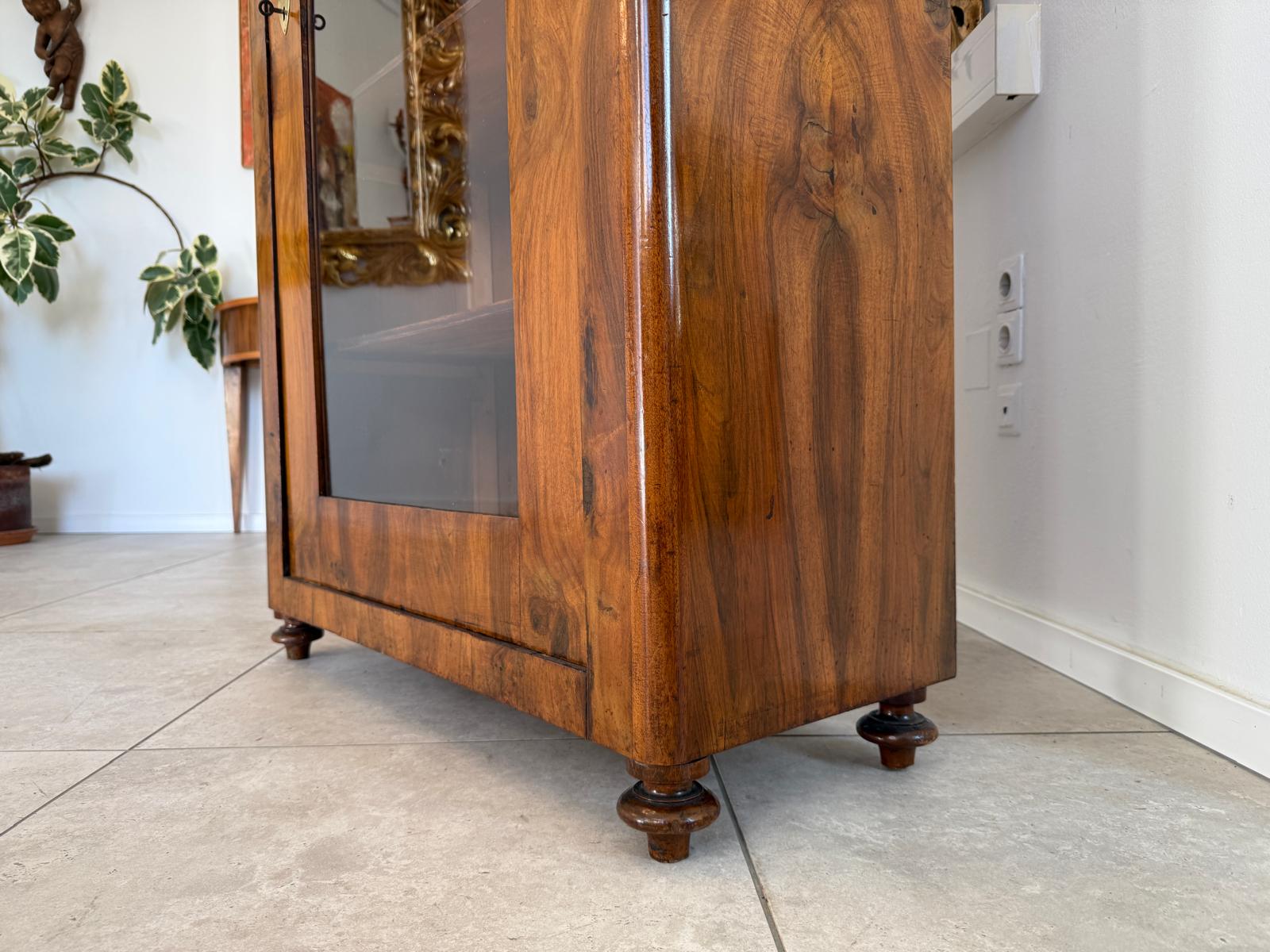 Antiquität Sale Biedermeier Vitrine Bücherschrank Nussholz G2212