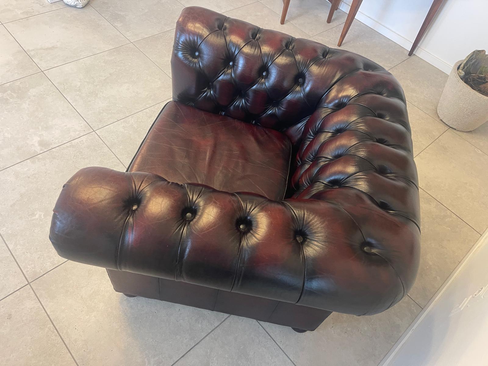 Chesterfield Fauteuill Sessel Clubsofa Culmöbel Oxblood G1054