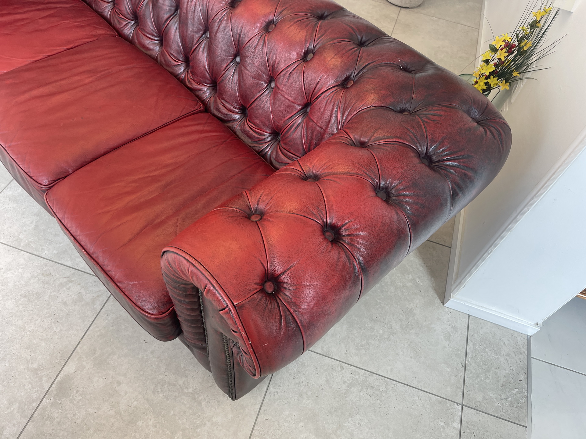 Chesterfield-77 Cult Chesterfield 3er Sofa Couch Clubsofa A4553