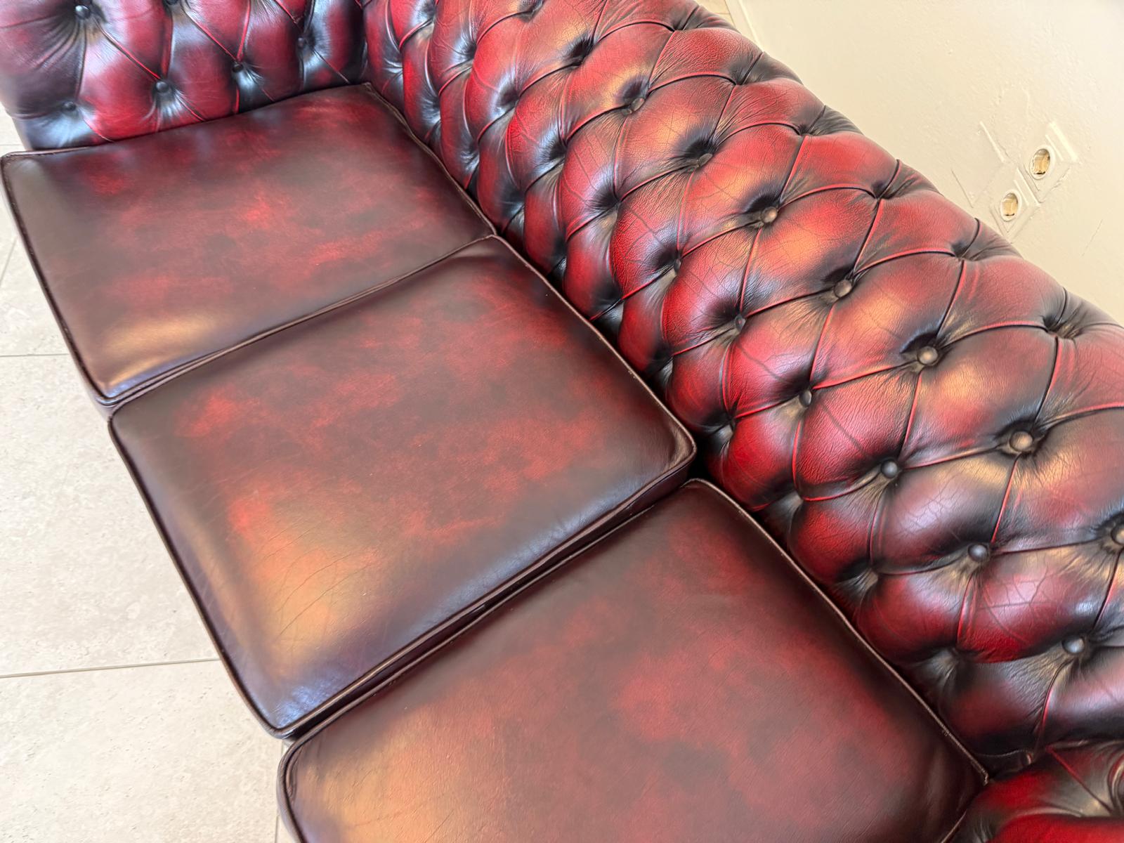 Chesterfield 3er Clubsofa Diwan Couch Oxblood Kultmöbel G1948