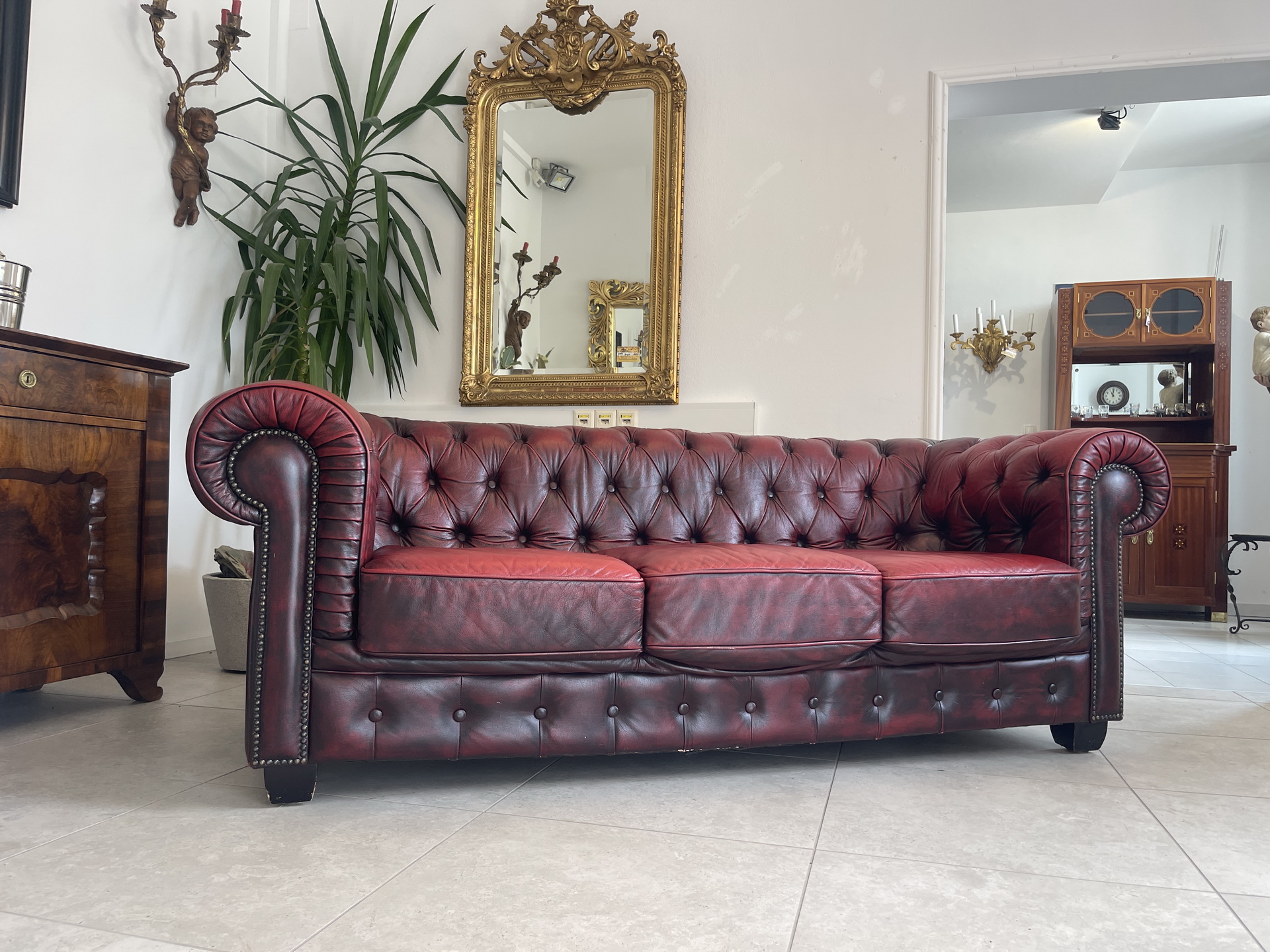 Chesterfield-69 Cult Chesterfield 3er Sofa Couch Clubsofa A4553