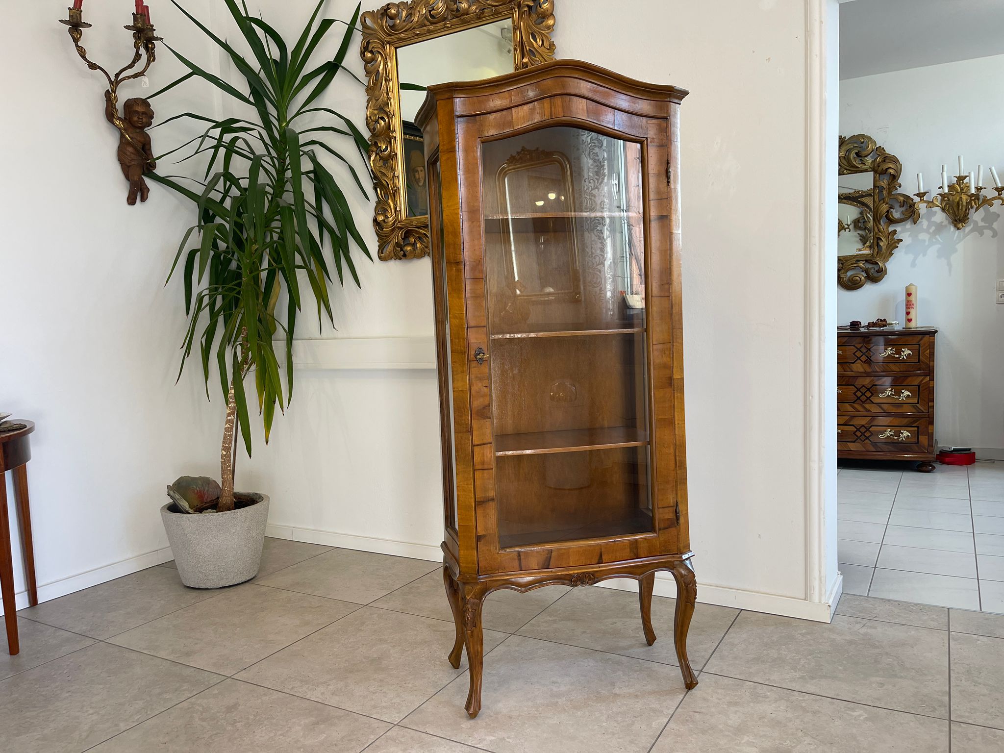 Barockstil Vitrine Nussholz Glasschrank Bücherschrank A5144