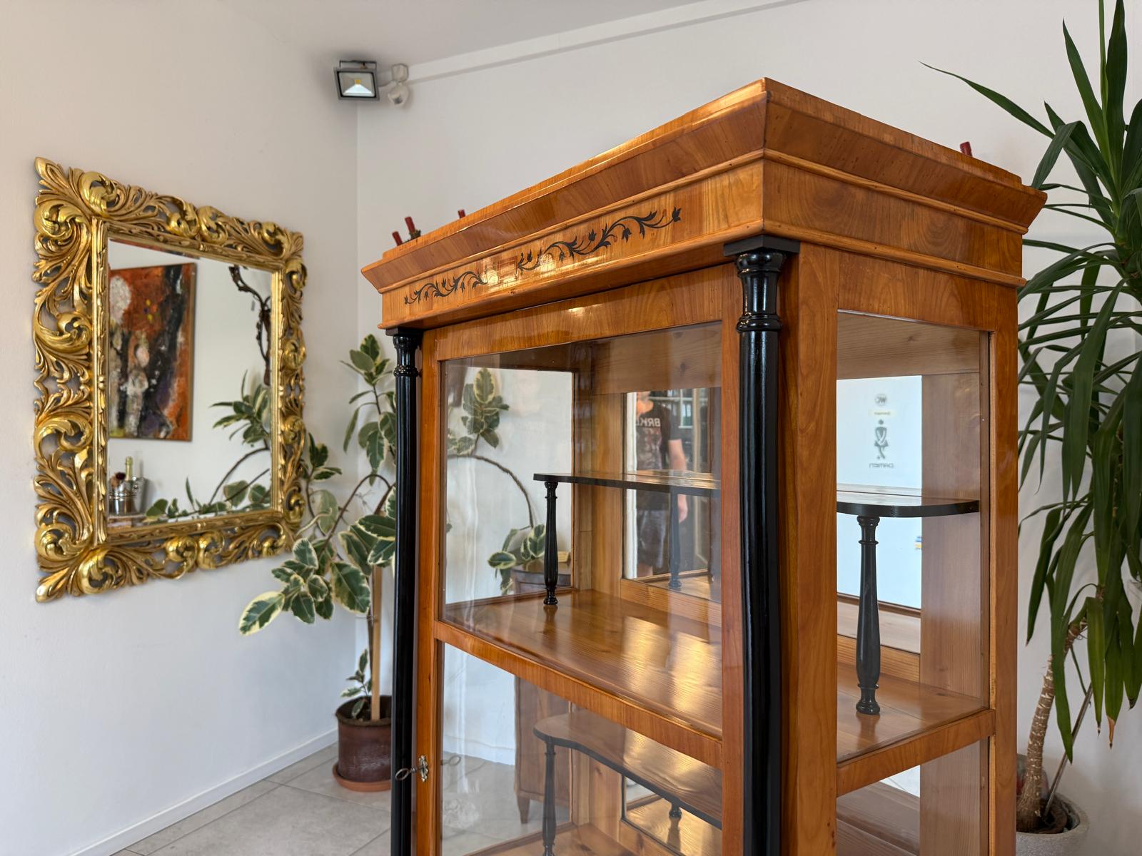Restaurierte Biedermeier Vitrine Bücherschrank Glasschrank G2050