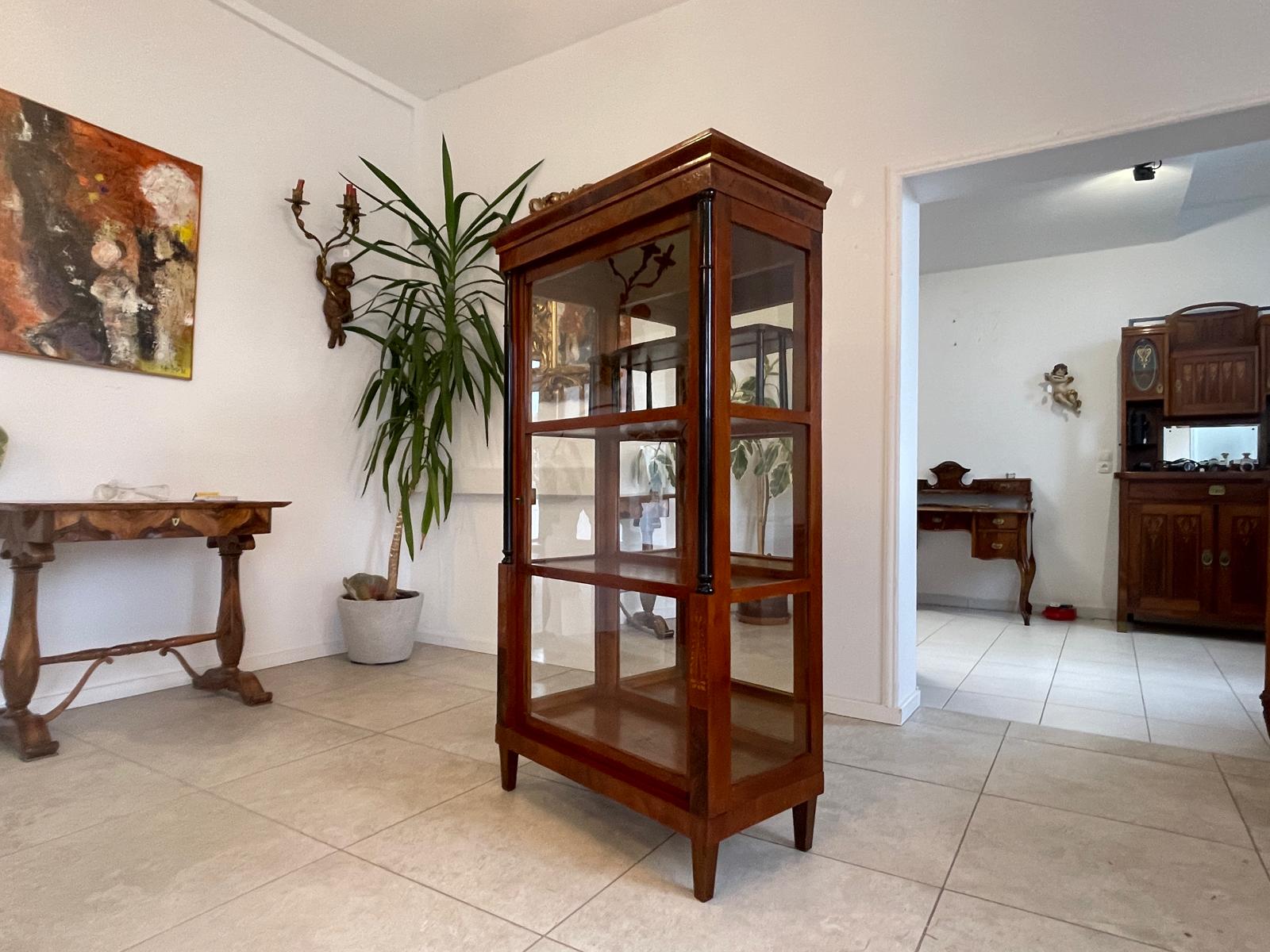 Originale Biedermeier Säulen Vitrine Glasschrank Antiquität Bücherschrank G1673