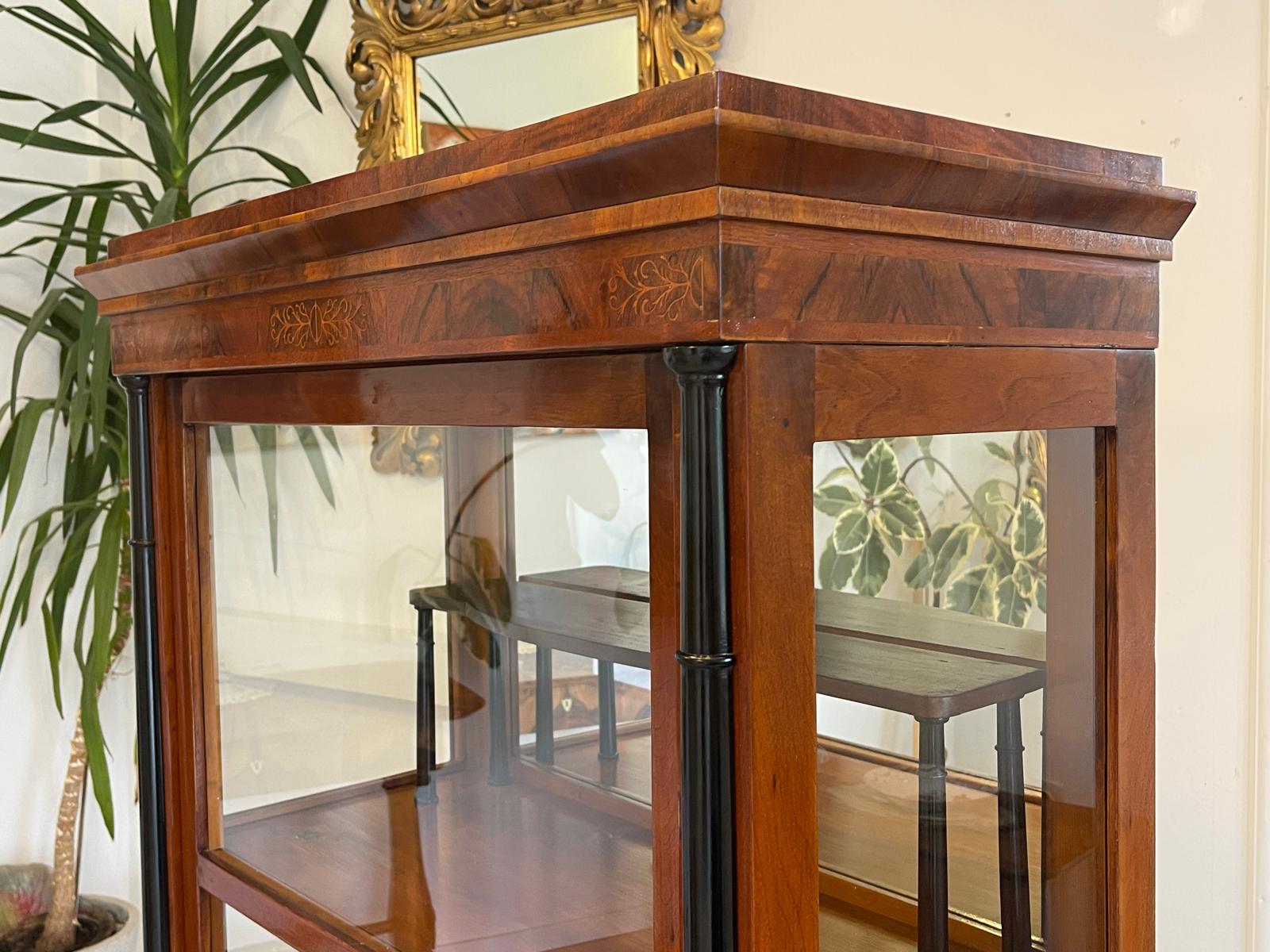 Originale Biedermeier Säulen Vitrine Glasschrank Antiquität Bücherschrank G1673