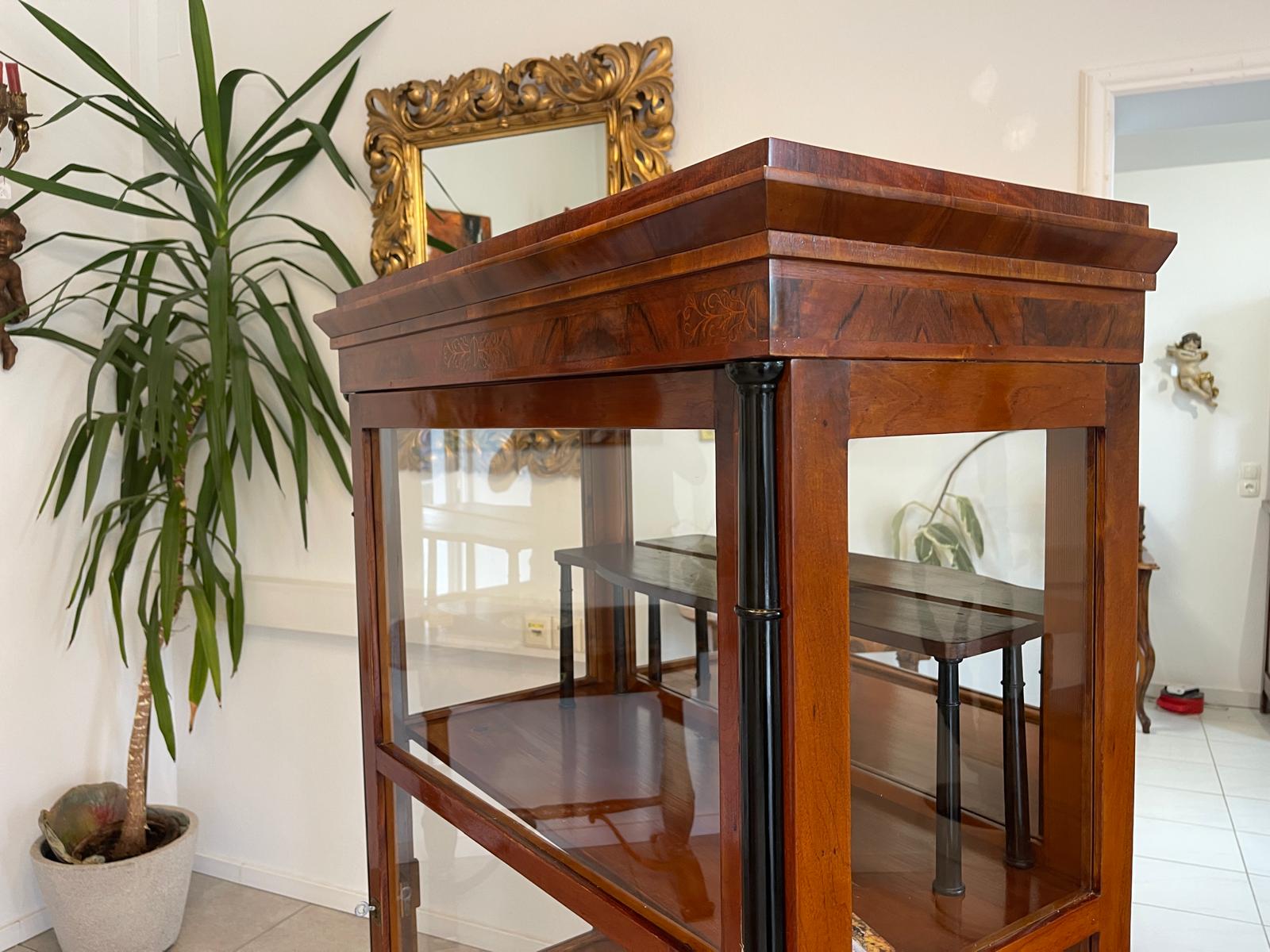 Originale Biedermeier Säulen Vitrine Glasschrank Antiquität Bücherschrank G1673