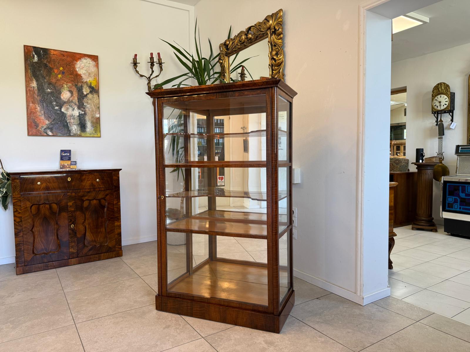 Biedermeier Vitrine Bücherschrank Nussholz Restauriert Antiquität D2394