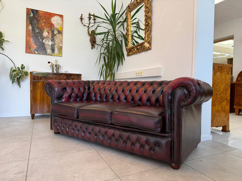 15f896bd-1752-4db9-8aec-980fa7ce73cd_800x800