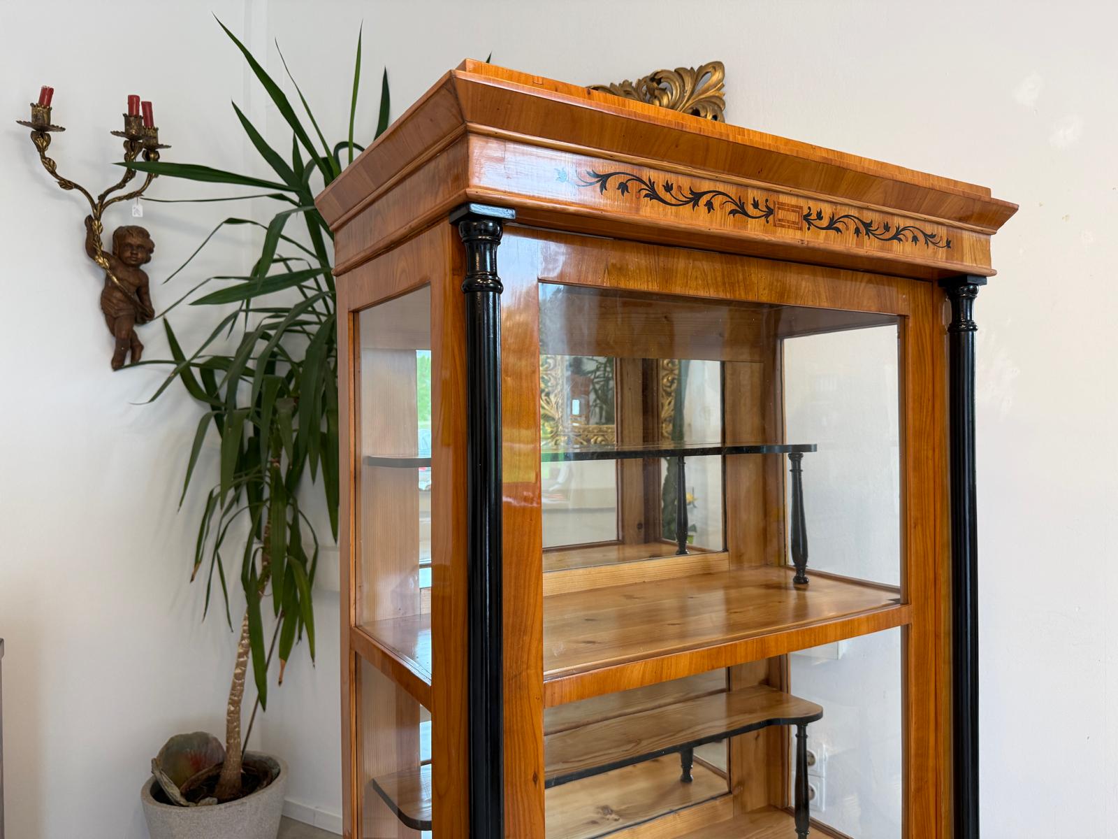 Restaurierte Biedermeier Vitrine Bücherschrank Glasschrank G2050