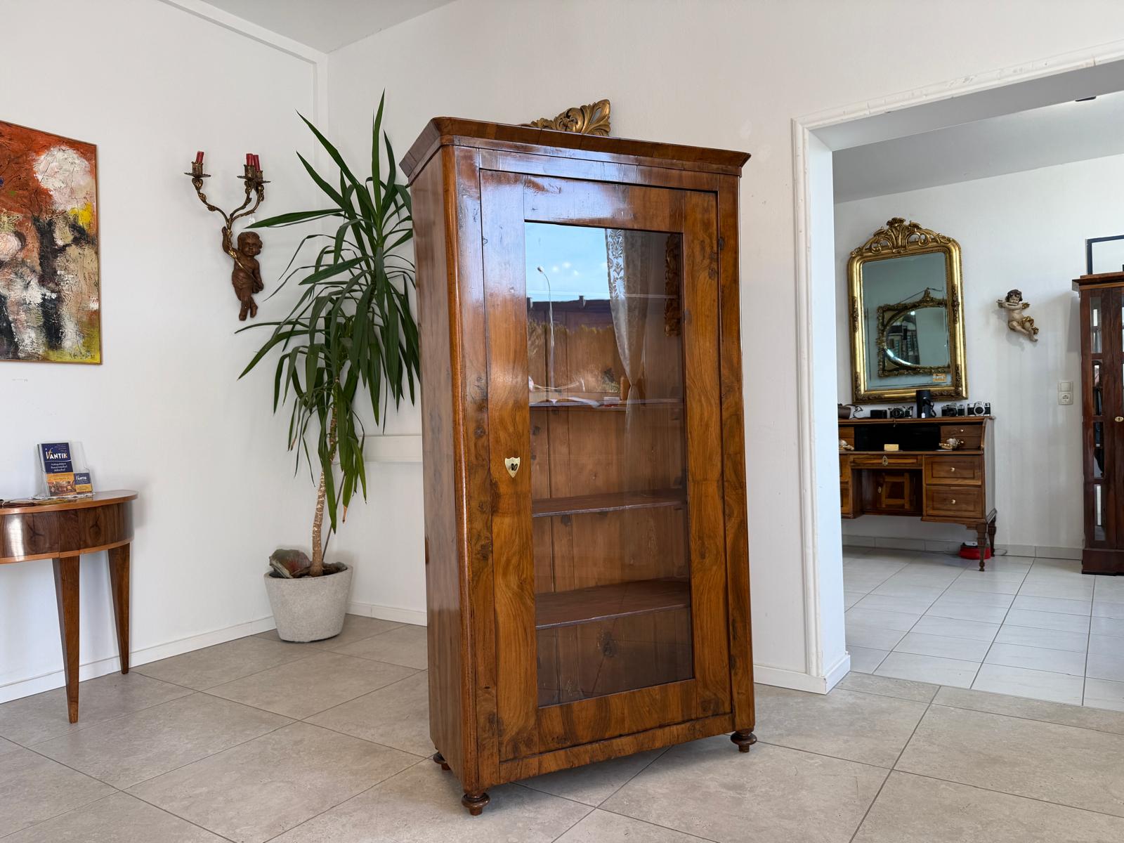 Antiquität Sale Biedermeier Vitrine Bücherschrank Nussholz G2212