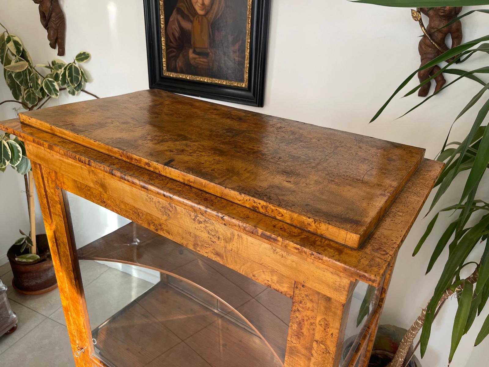 Originale Elegante Biedermeier Vitrine Bücherschrank Glasschrank Antiquität G1311