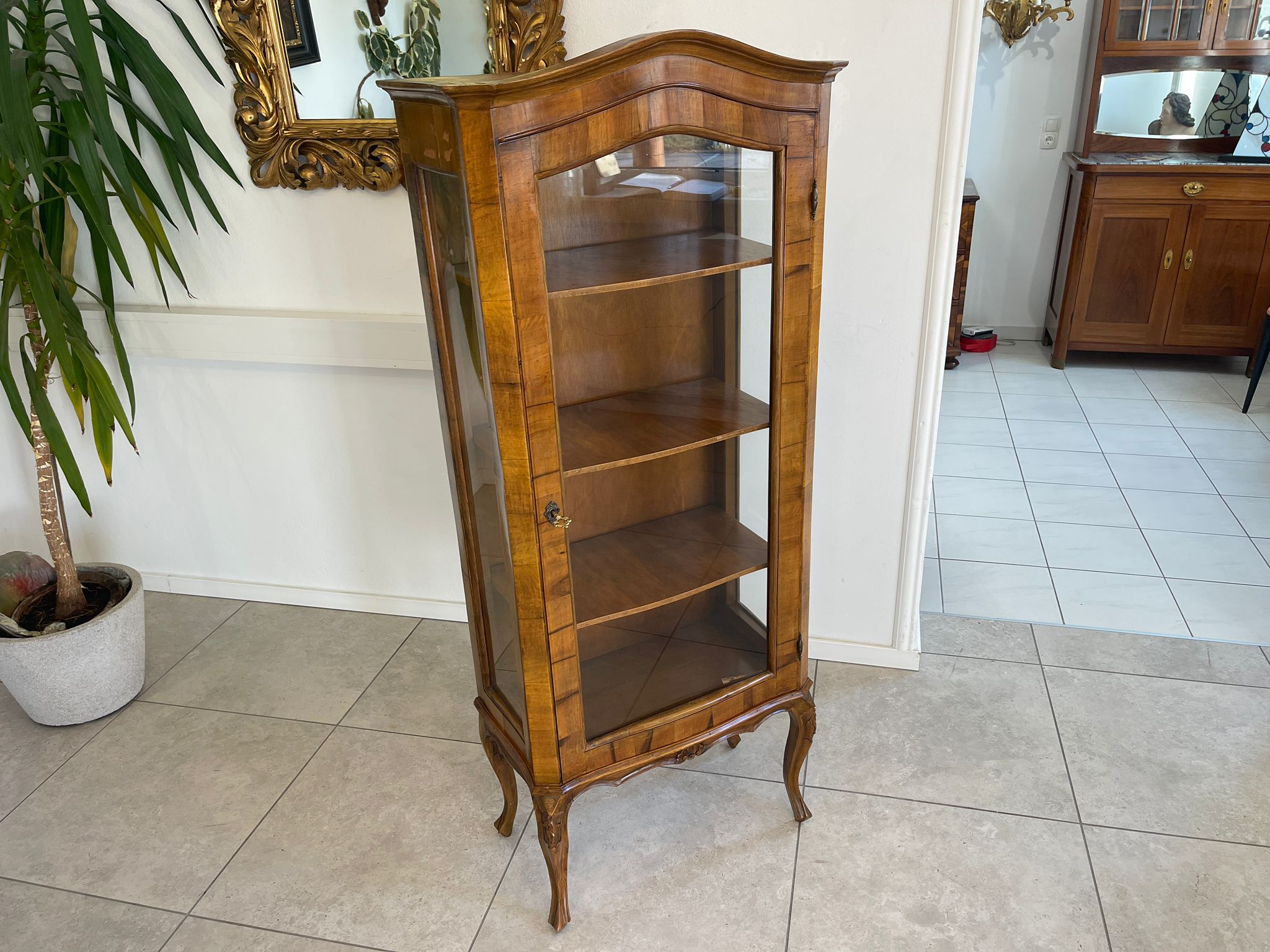 Barockstil Vitrine Nussholz Glasschrank Bücherschrank A5144