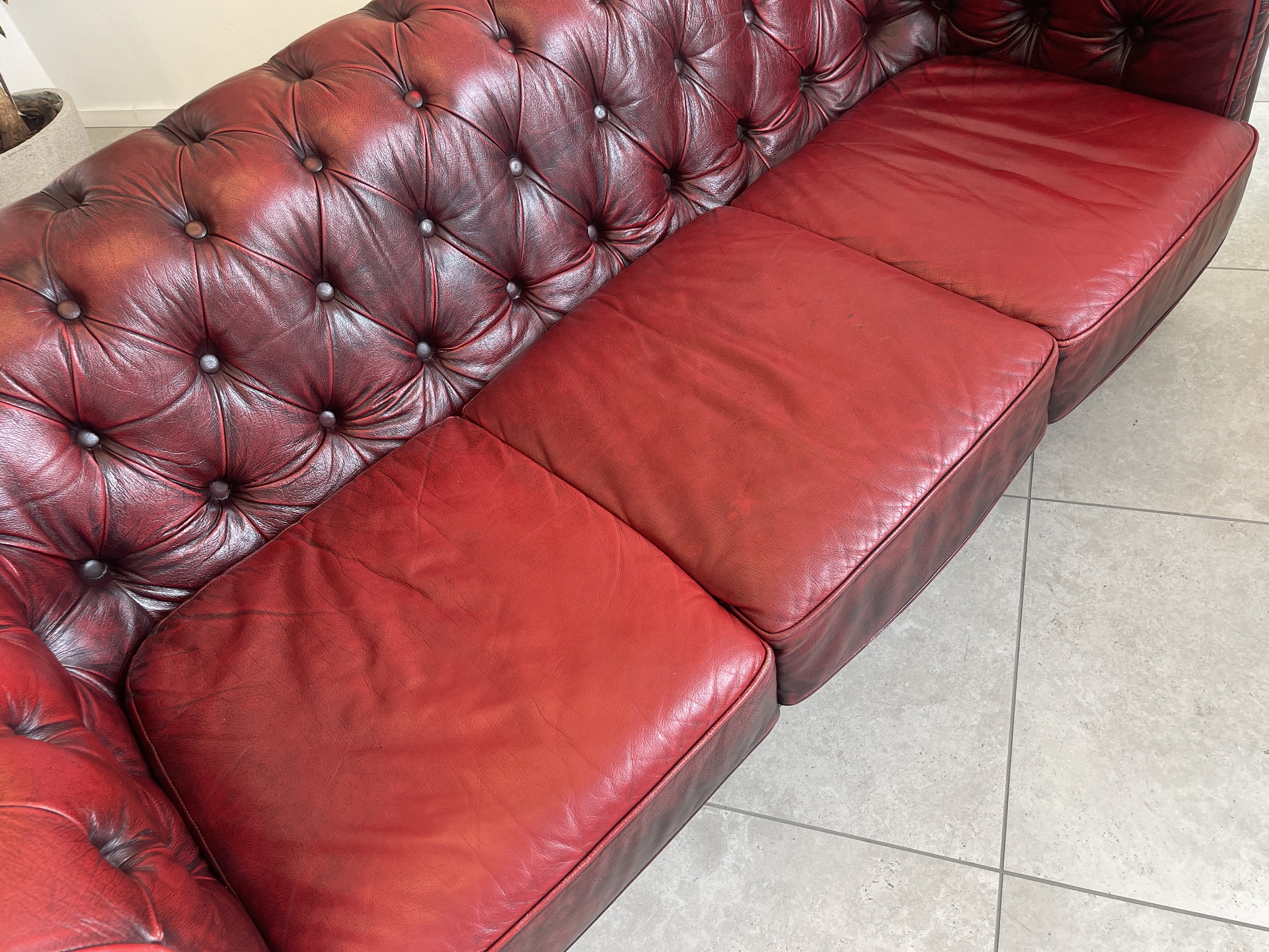 Chesterfield-73 Cult Chesterfield 3er Sofa Couch Clubsofa A4553