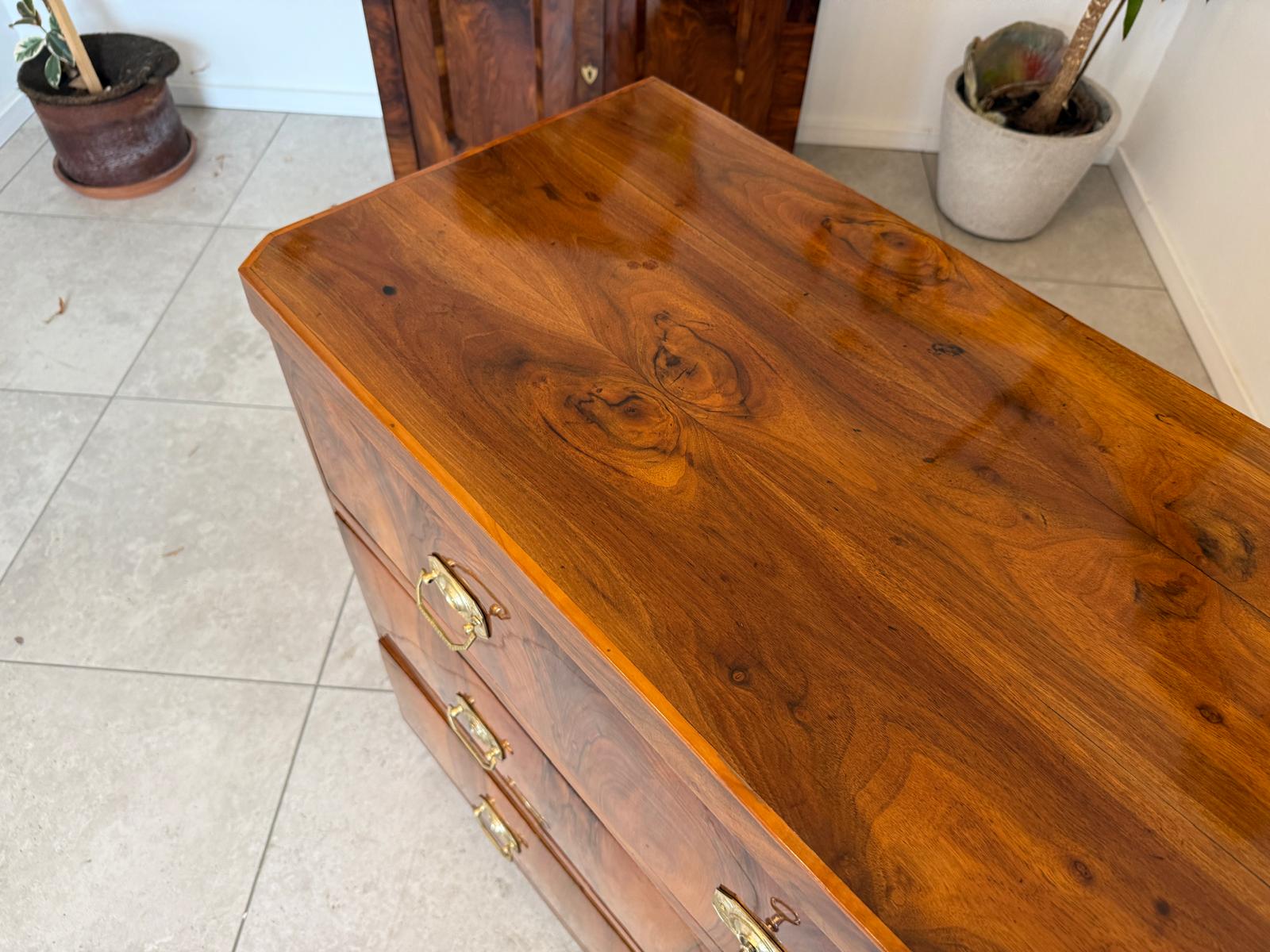 Sale Originale Biedermeier Kommode Ladenkommode Antiquität Restauriert G1833-1