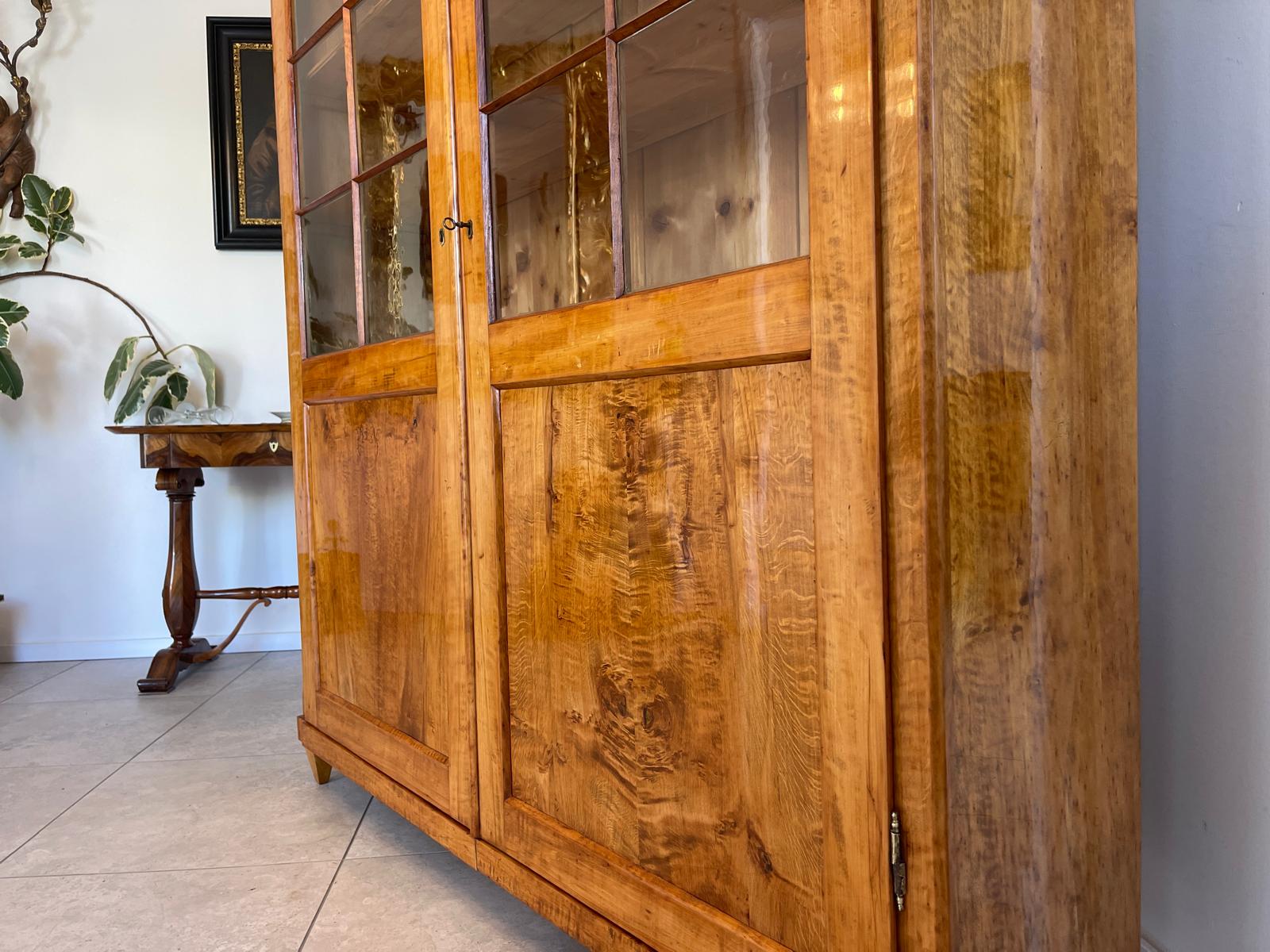 Antike Restaurierte Biedermeier Bücherschrank Vitrine Traumxemeplar Antiquität  G1641