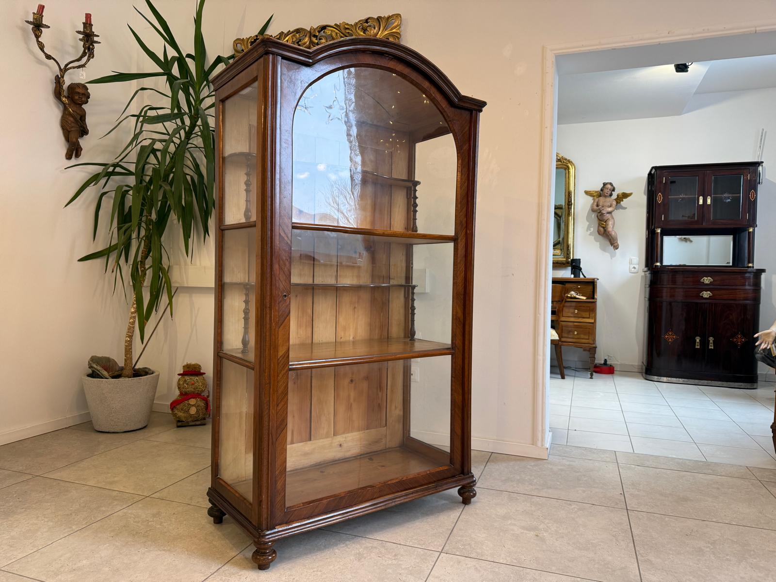 SALE Originale Spätbiedermeier Vitrine Bücherschrank Sammlervitrine Antiquität D1028