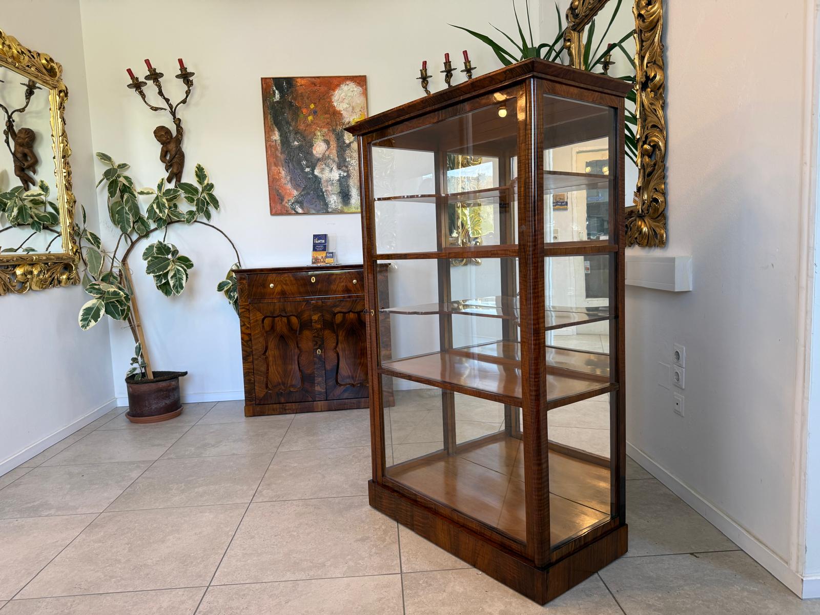Biedermeier Vitrine Bücherschrank Nussholz Restauriert Antiquität D2394