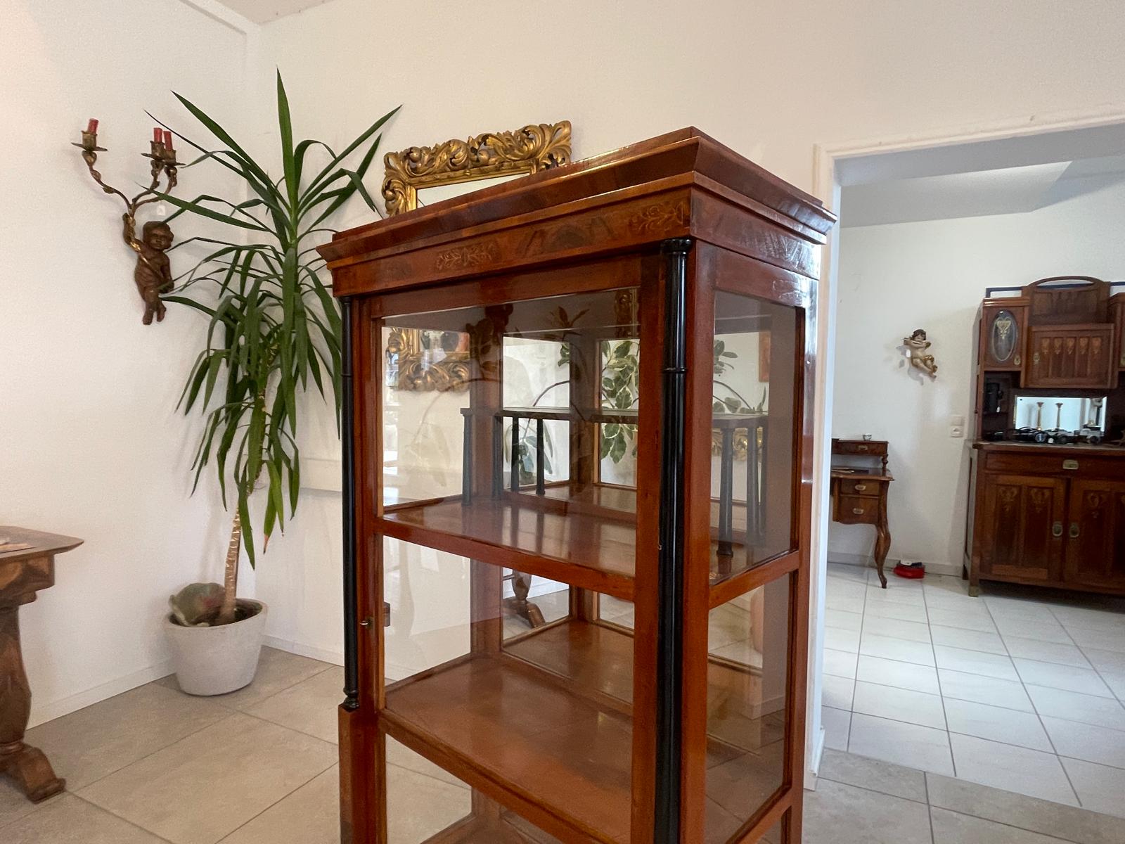Originale Biedermeier Säulen Vitrine Glasschrank Antiquität Bücherschrank G1673