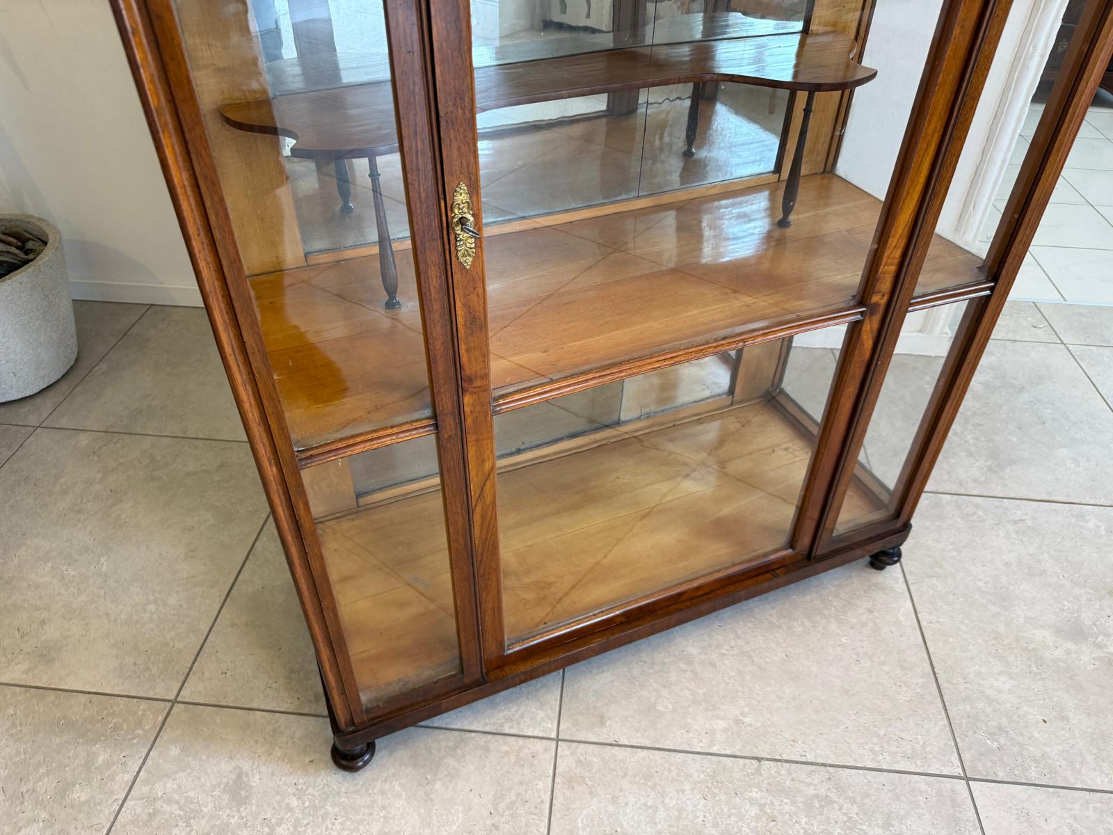 Altrestaurierte Spätbiedermeier Vitrine Bücherschrank Glasschrank Antiquität D2725