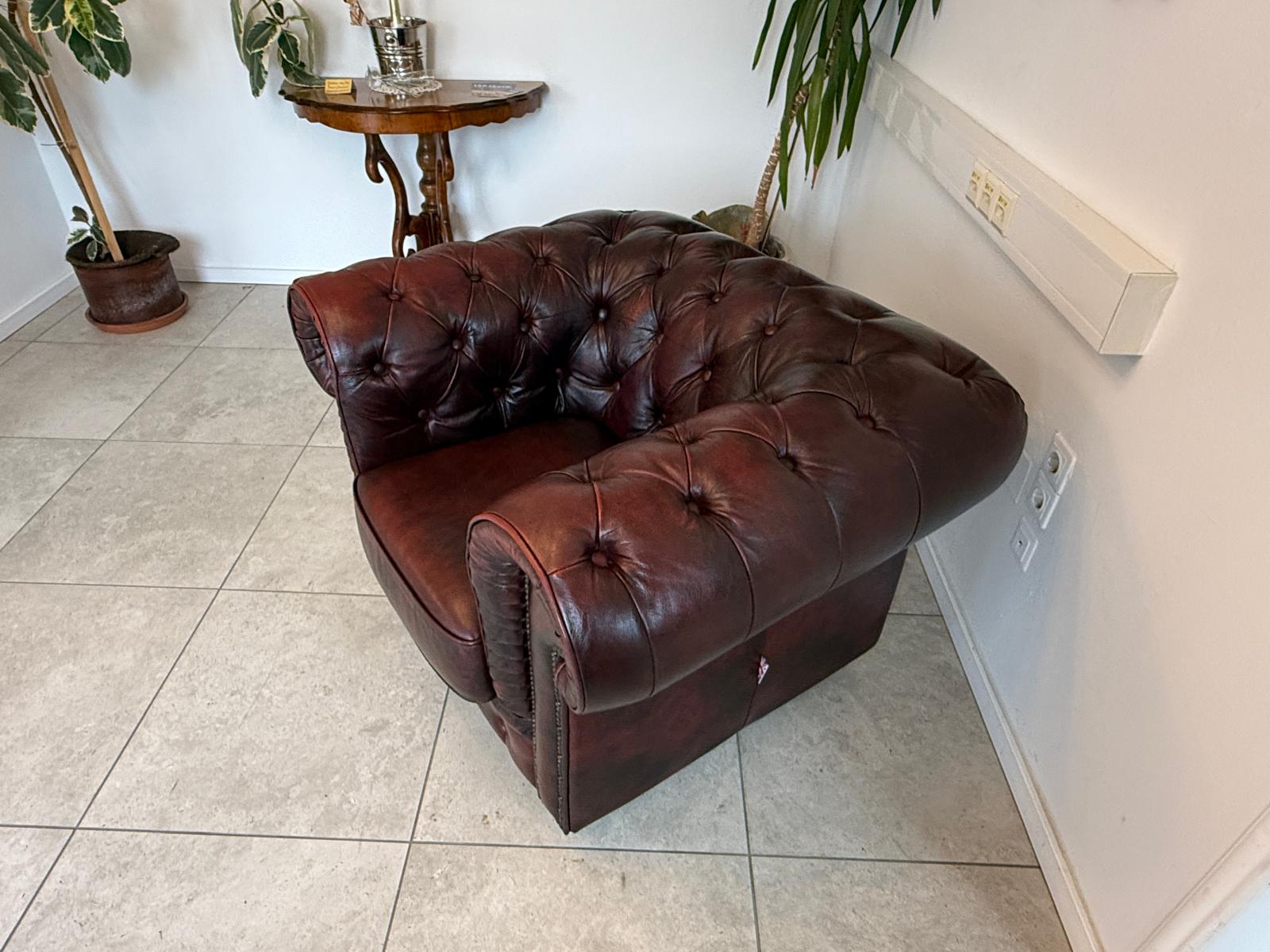 Chesterfield 1er Fauteuil Couch Zigarrenbraun Oxblood Red G1726