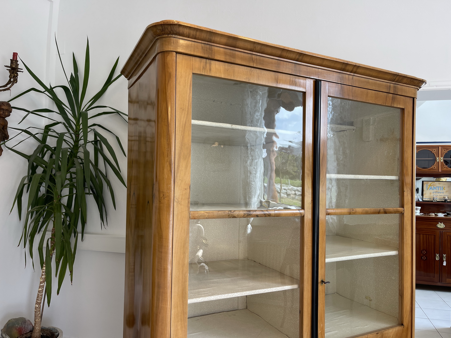 biedermeier_78ws81ESsuU7Klq Biedermeier Vitrine Bücherschrank Glasschrank A4303