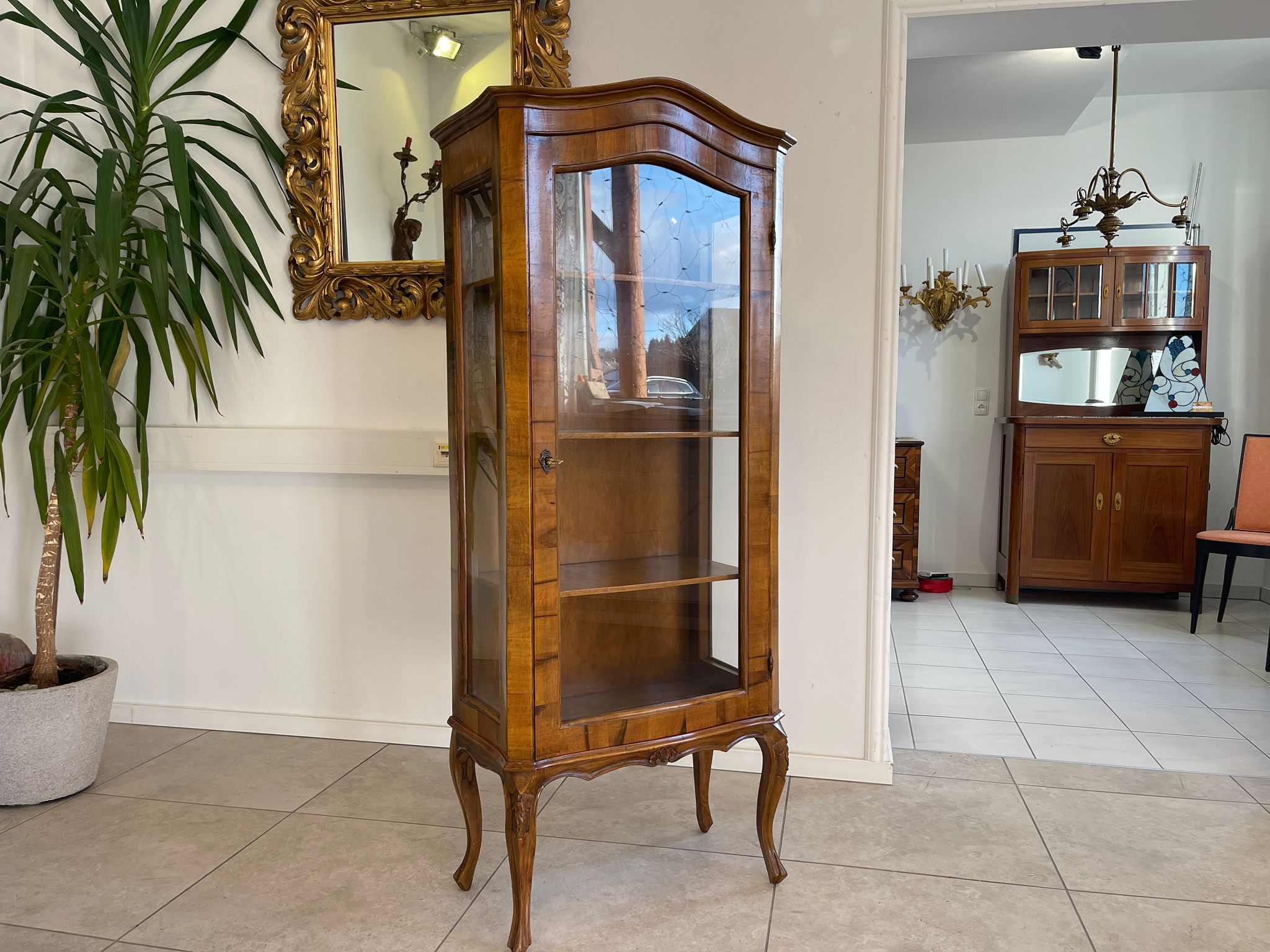 Barockstil Vitrine Nussholz Glasschrank Bücherschrank A5144