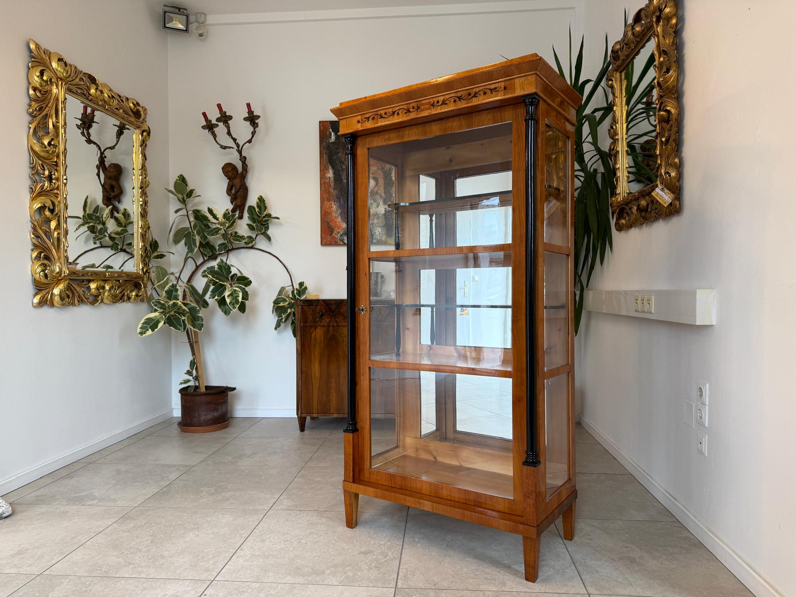 Restaurierte Biedermeier Vitrine Bücherschrank Glasschrank G2050