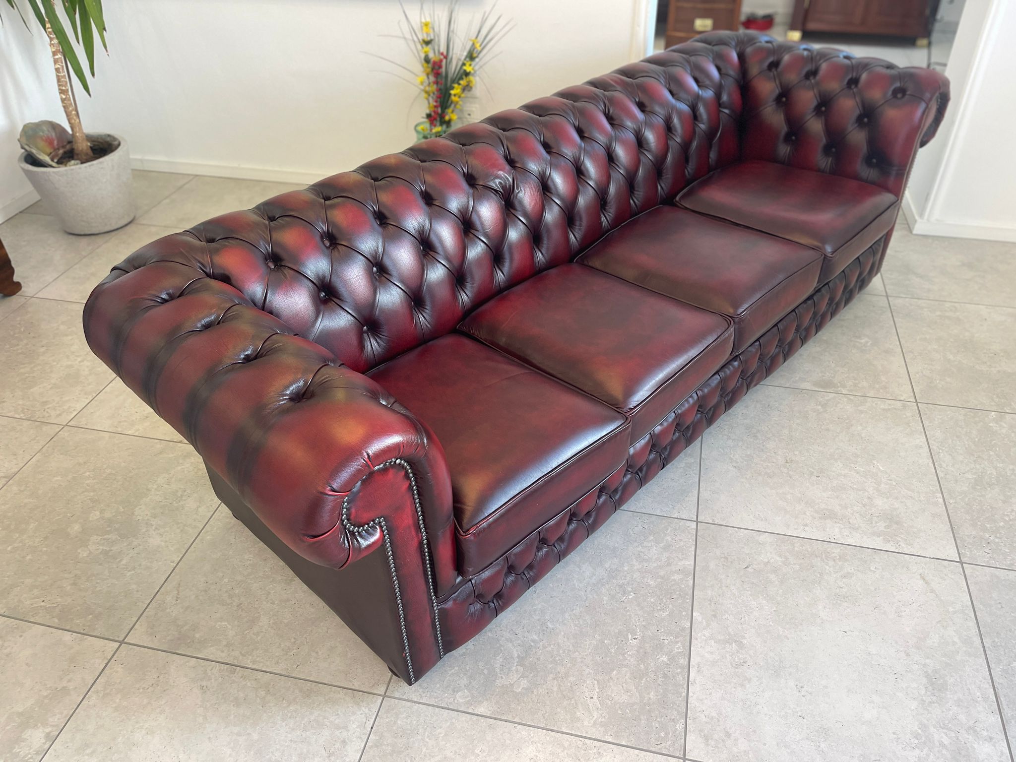 2a625c7b-8135-498f-b8e9-545812ca456f Chesterfield 4er Clubsofa Couch Oxblood Red A4479