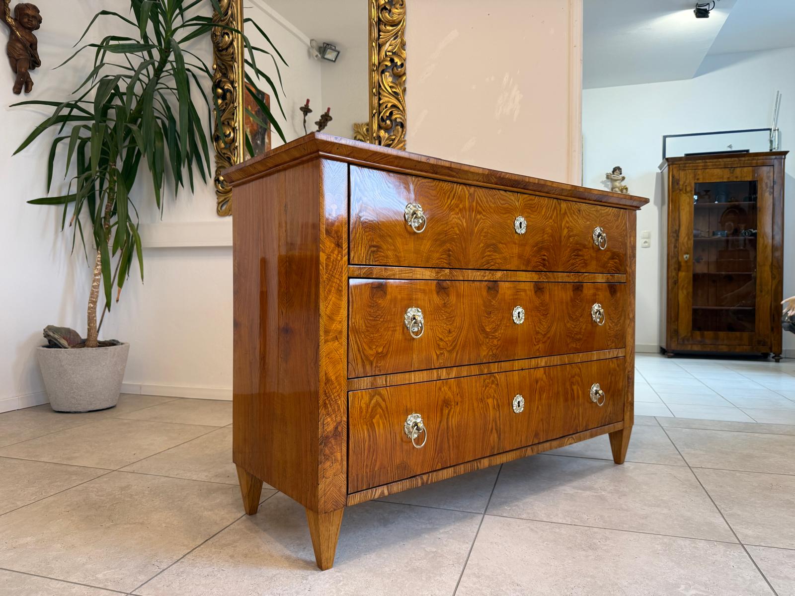 Restaurierte Biedermeier Kommode Ladenkommode Nussholz Antiquität G2242