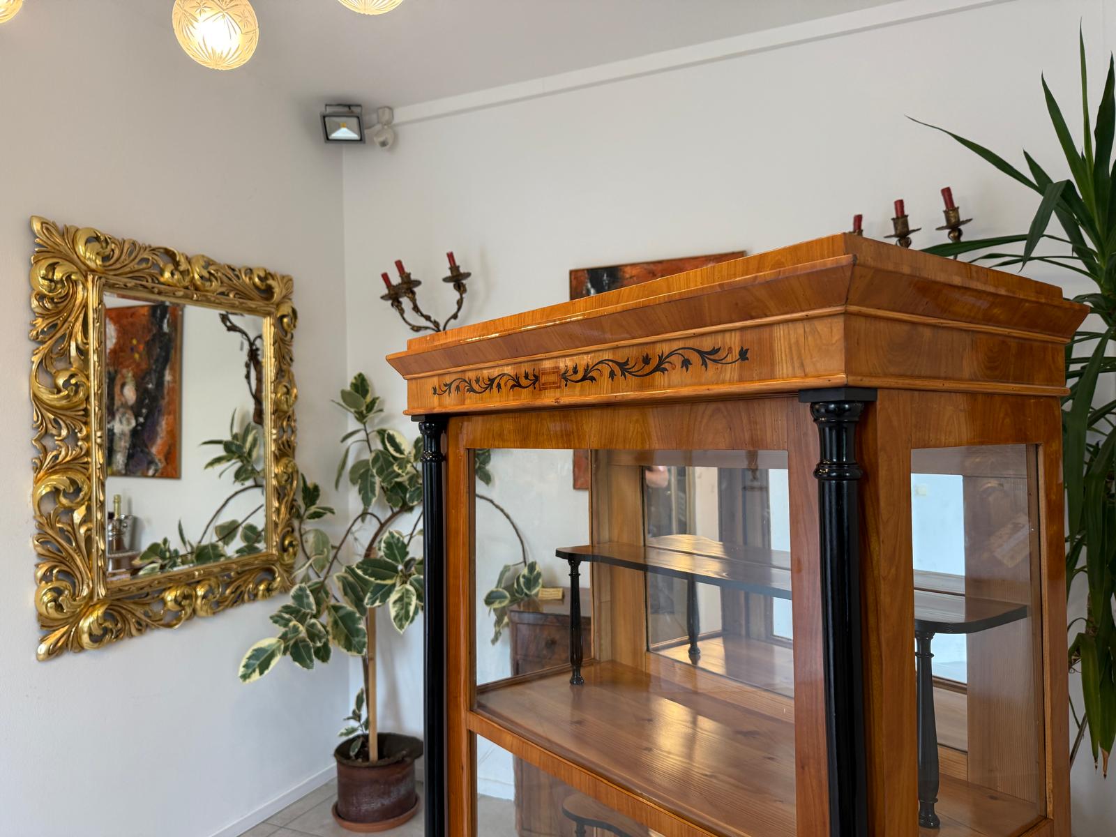 Restaurierte Biedermeier Vitrine Bücherschrank Glasschrank G2050