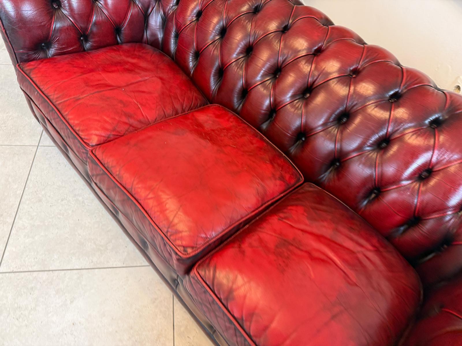 Chesterfield 3er Clubsofa Diwan Couch Oxblood Kultmöbel D2304